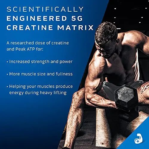 Creatine Powder | MuscleTech Cell-Tech Elite Creatine Powder | Post Workout Recovery - TrustMedUSA