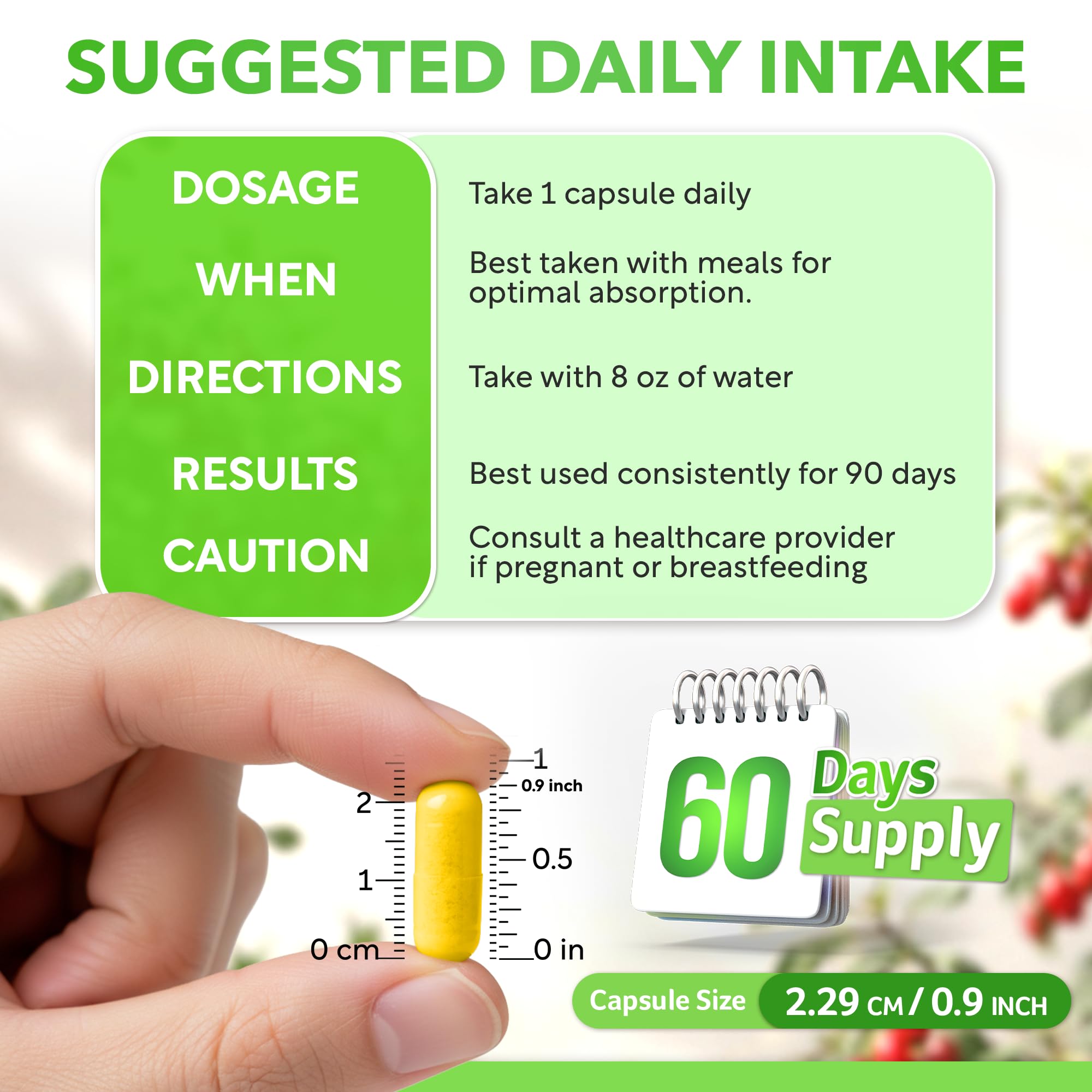 Dalnara Dihydroberberine Capsules 250mg, 60 Count - Supports Metabolic Wellness & Balanced Energy, Non-GMO,Dihydroberberine Supplement - TrustMedUSA
