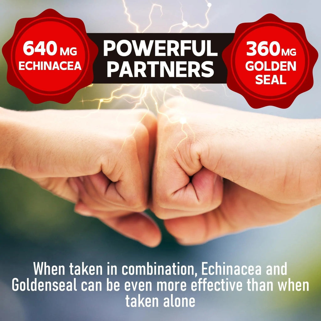 DEDICAD 1000mg Echinacea Goldenseal Capsules - Support Immune System, Well-Being & Overal Health - 60 Veggie Capsules - Non-GMO, Gluten-Free - TrustMedUSA