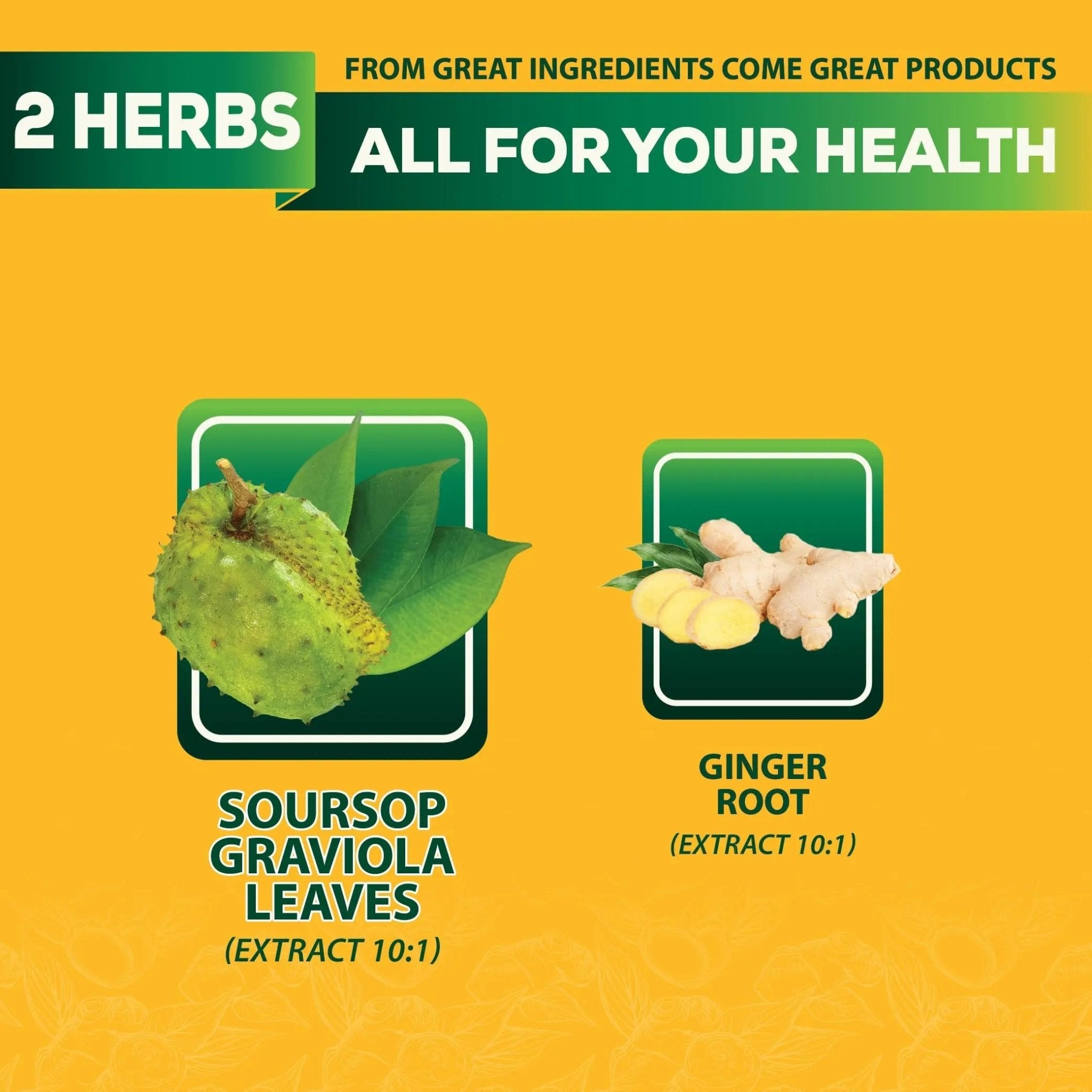 DEDICAD Soursop Leaves Tea Bags with Ginger, 30 Tea bags, 2gr/bag - Non-GMO/Caffeine free - Support Digestion, Well Skin, Immune System - TrustMedUSA