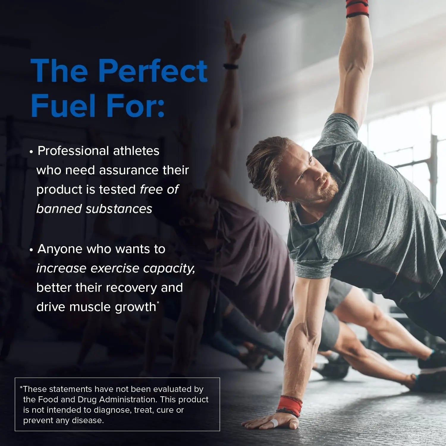 Designs for Sport Creatine Monohydrate Powder - NSF Certified for Sport Creatine - TrustMedUSA