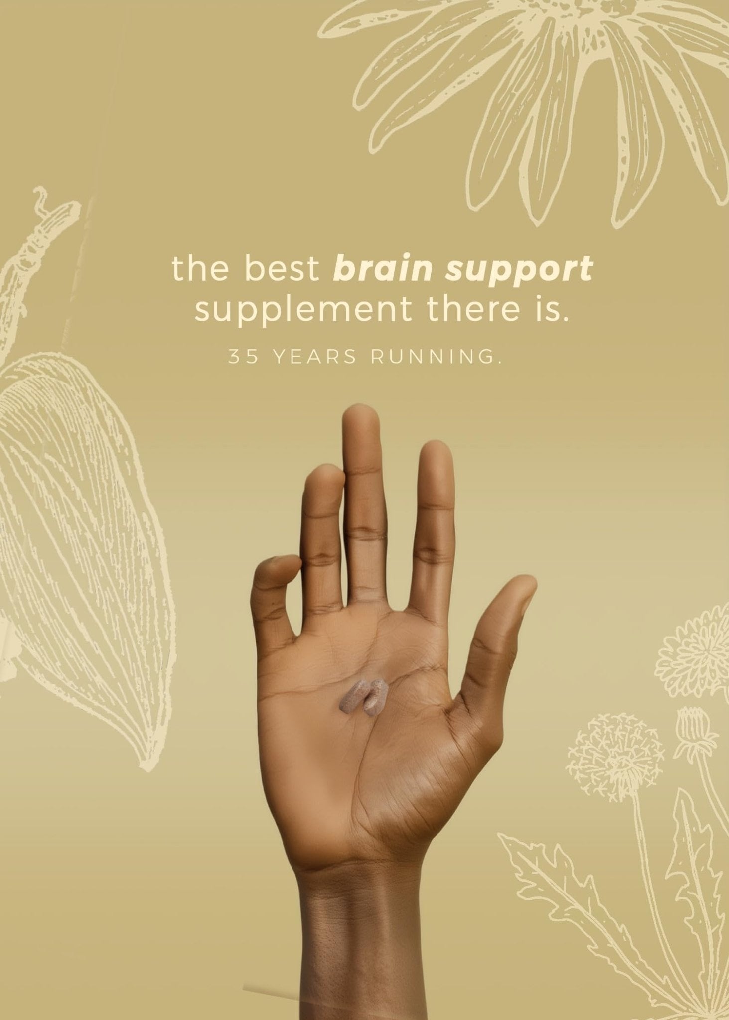 DiamondMIND Brain Support Supplement - Natural Formula for Mental Energy & Cognitive Function - Focus, Clarity, and Memory Supplement - Less Mental Stress - Vegan, Gluten-Free, Dairy-Free - (60 Count) - TrustMedUSA