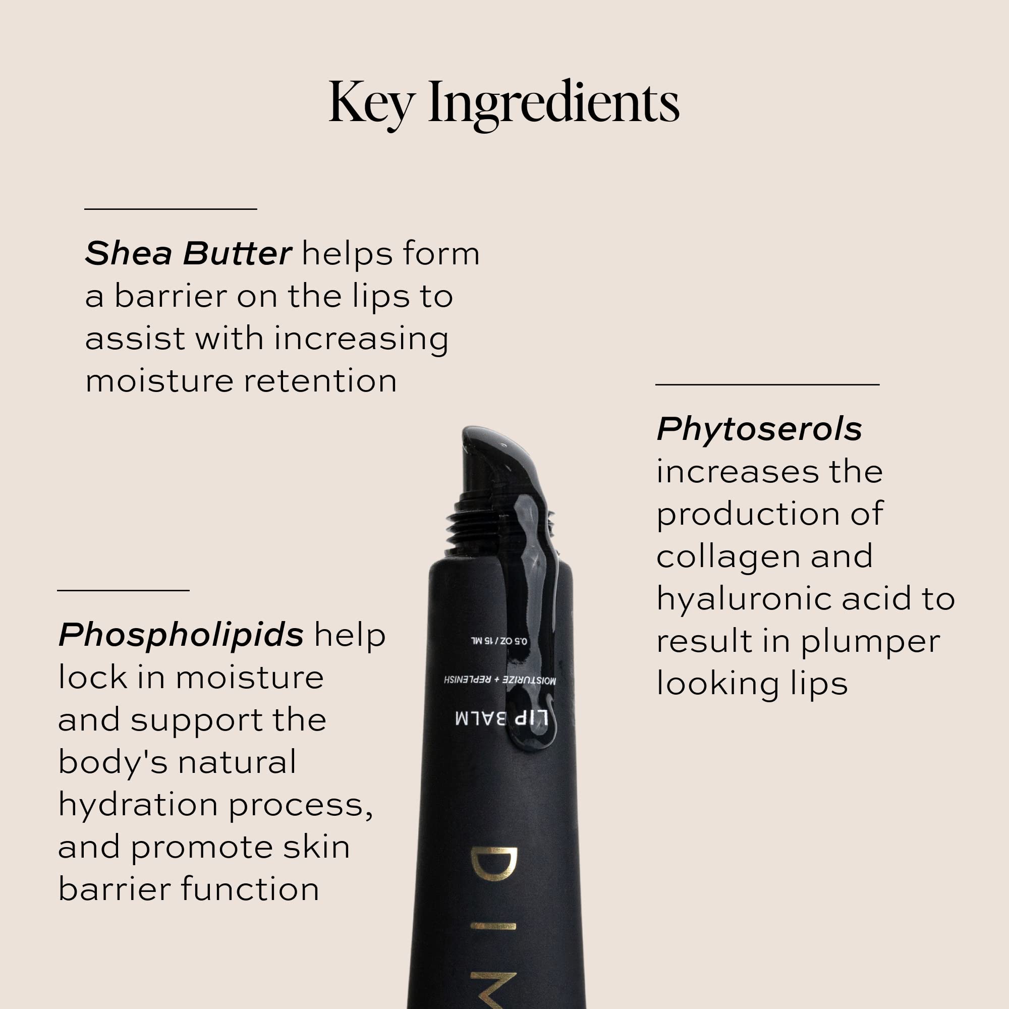 DIME Beauty Lip Balm, Hydrating Lip Balm and Gloss, Vegan & Cruelty-Free, Anti-Aging Lip Care, .5 oz / 15 ml - TrustMedUSA