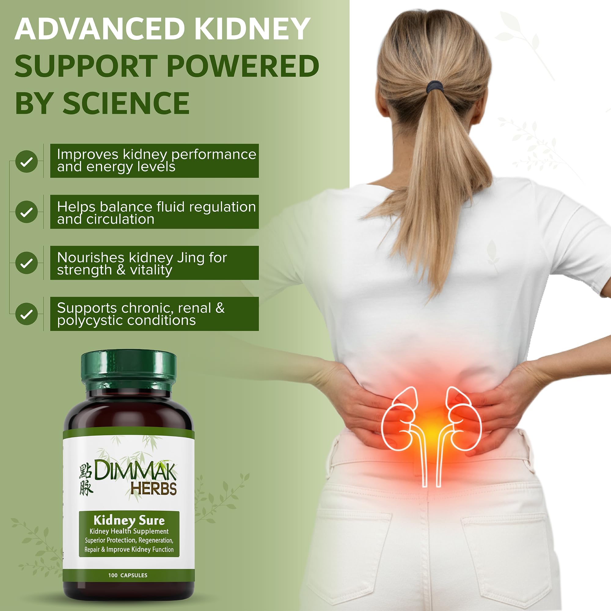 Dimmak Herbs Kidney Sure- Kidney Cleanse & Revitilization Tonic- Organic Herbal Support for Renal Health, Urinary Tract Flow & Vitality- TCM Doctor Formulated, Vegan- 400mg 100 Capsules - TrustMedUSA