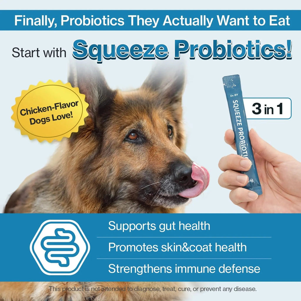 Doctor By Squeeze Probiotics for Dogs Gut Health Immunity Skin&Allergy Care Diarrhea Relief Digestive Stomach Support with L. crispatus KT-11 Lickable Paste Formula Individually Packaged, Chicken - TrustMedUSA