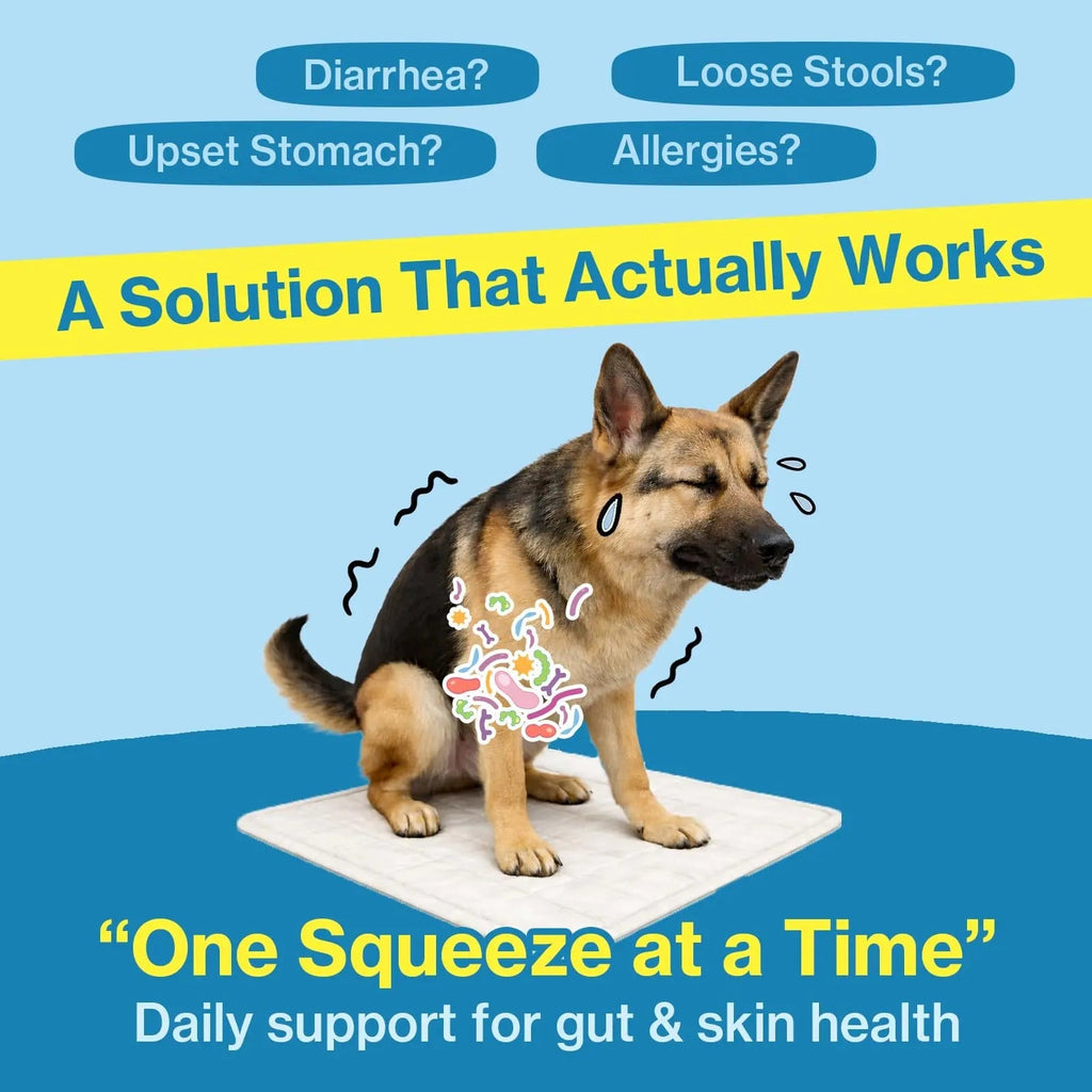 Doctor By Squeeze Probiotics for Dogs Gut Health Immunity Skin&Allergy Care Diarrhea Relief Digestive Stomach Support with L. crispatus KT-11 Lickable Paste Formula Individually Packaged, Chicken - TrustMedUSA
