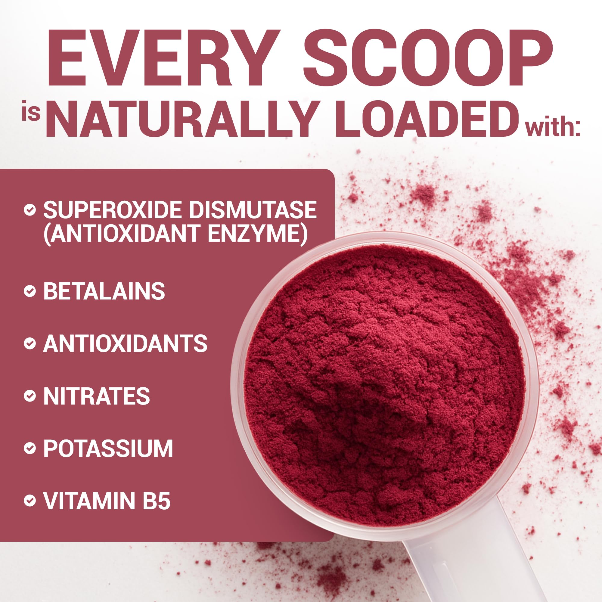 Dr. Berg Raw Organic Beet Powder from Real Earth-Grown Beets – USDA Certified Organic Beet Root Powder to Support Nitric Oxide Levels, Energy - TrustMedUSA