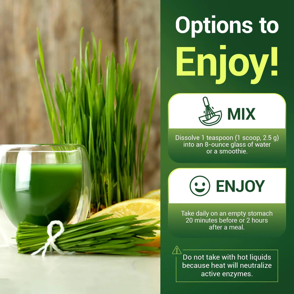 Dr. Berg's Raw Wheatgrass Juice Powder (60 Servings) - USDA Certified Organic - TrustMedUSA