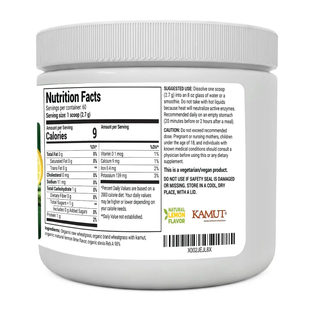 Dr. Berg's Raw Wheatgrass Juice Powder (60 Servings) - USDA Certified Organic - TrustMedUSA