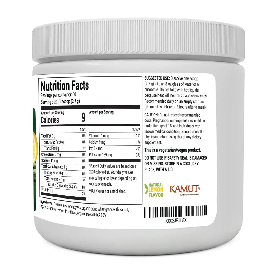 Dr. Berg's Raw Wheatgrass Juice Powder (60 Servings) - USDA Certified Organic - TrustMedUSA