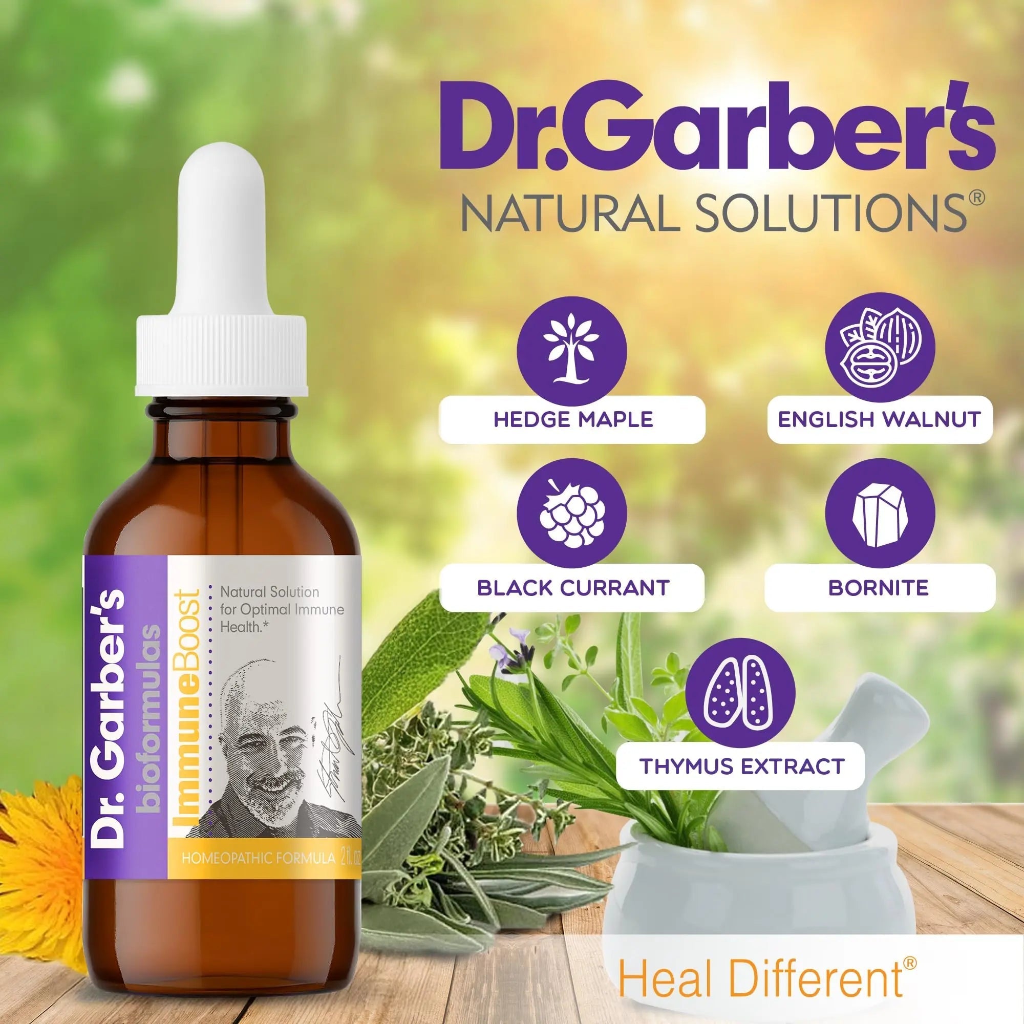 Dr. Garber's Natural Solutions Immune Boost Health Oral Drops - Gemmotherapy Liquid Supplement to Strengthen Immunity, Support Immune System, Increase Resistance, & Contains Antioxidants - 60ml - TrustMedUSA