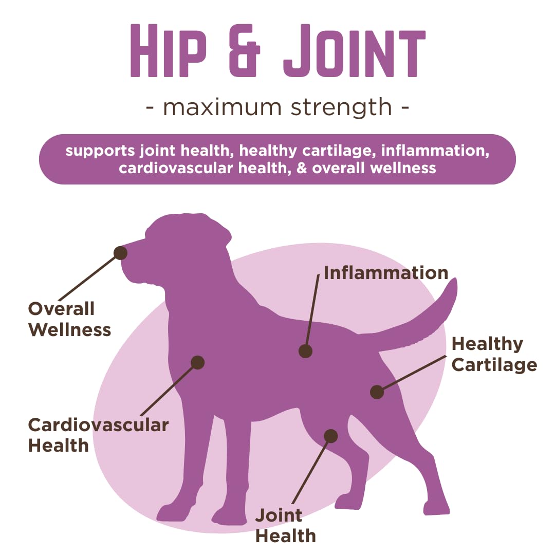 Dr. Joseph's VetPro Complete Dog Hip & Joint Supplement for Arthritis Pain Relief – High-Strength Glucosamine & Chondroitin Chews for Senior Dogs – Vet Formulated Daily Treats, Chicken Flavor, 60 Ct - TrustMedUSA