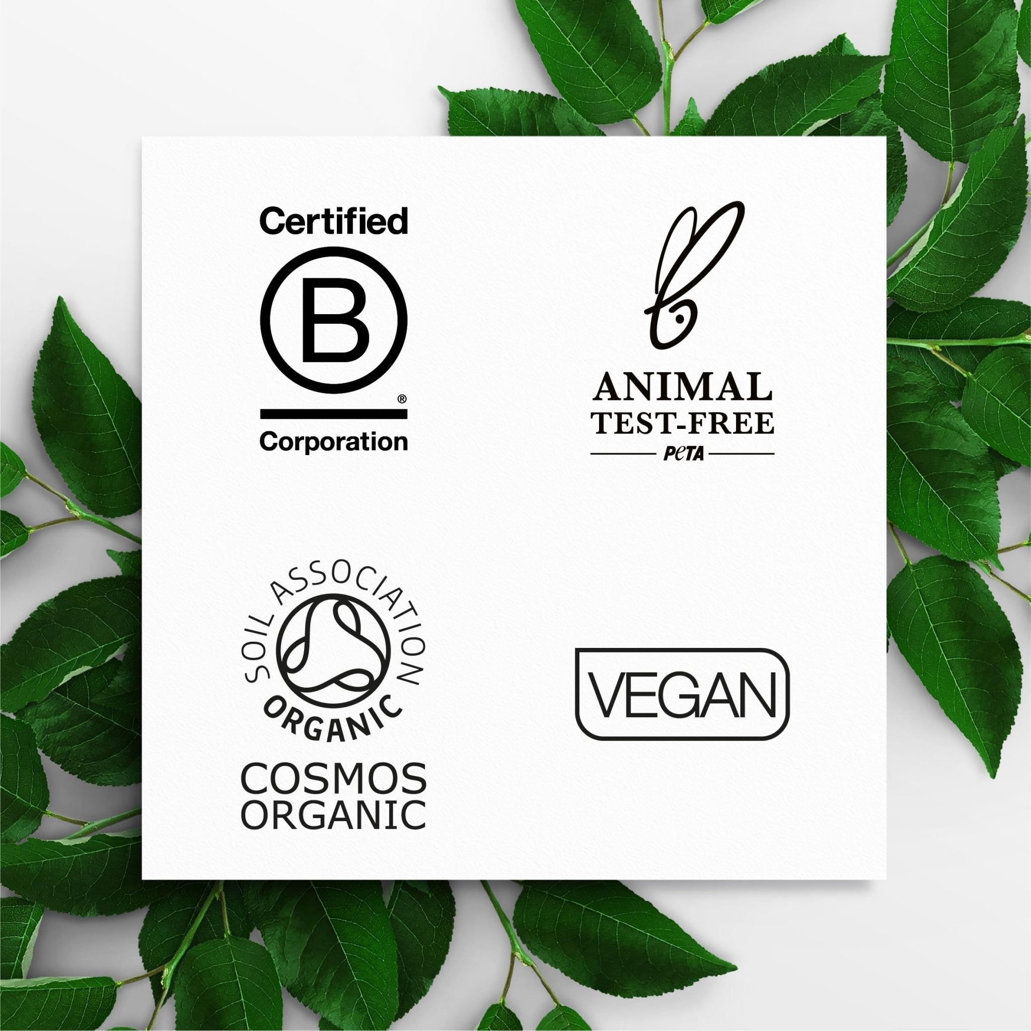 Dr. Organic Snail Gel Face Cream | Rejuvenates and Moisturizes, Improves Skin Tone and Hydration, Natural, Certified Organic, Paraben & SLS-Free, 50 mL / 1.7 fl oz - Maple Wellness Supplements