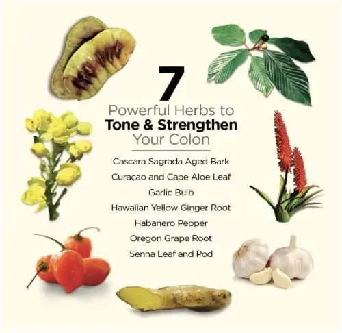 Dr. Schulze's 5-Day Bowel - Capsules - TrustMedUSA