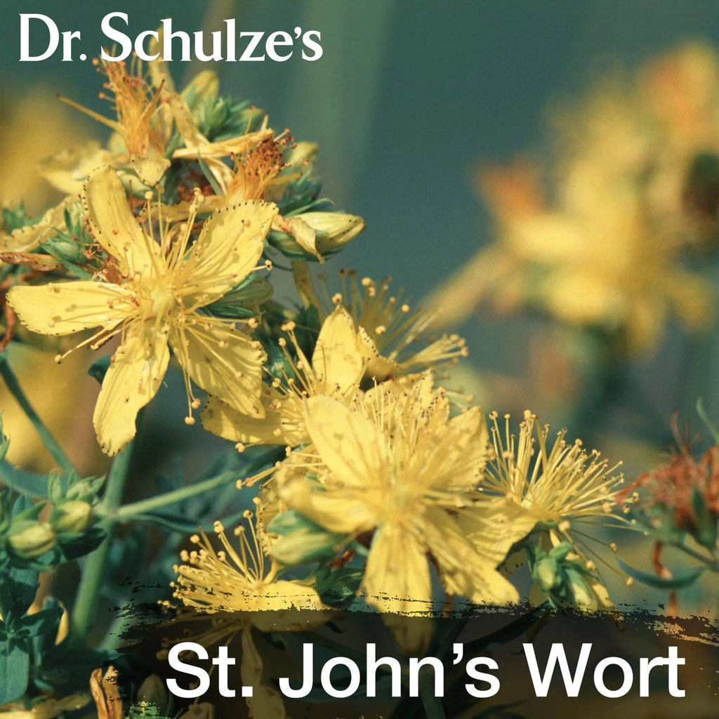 Dr. Schulze's Deep Tissue Oil | Powerful Herbal Support for Muscles, Tendons and Joints - TrustMedUSA