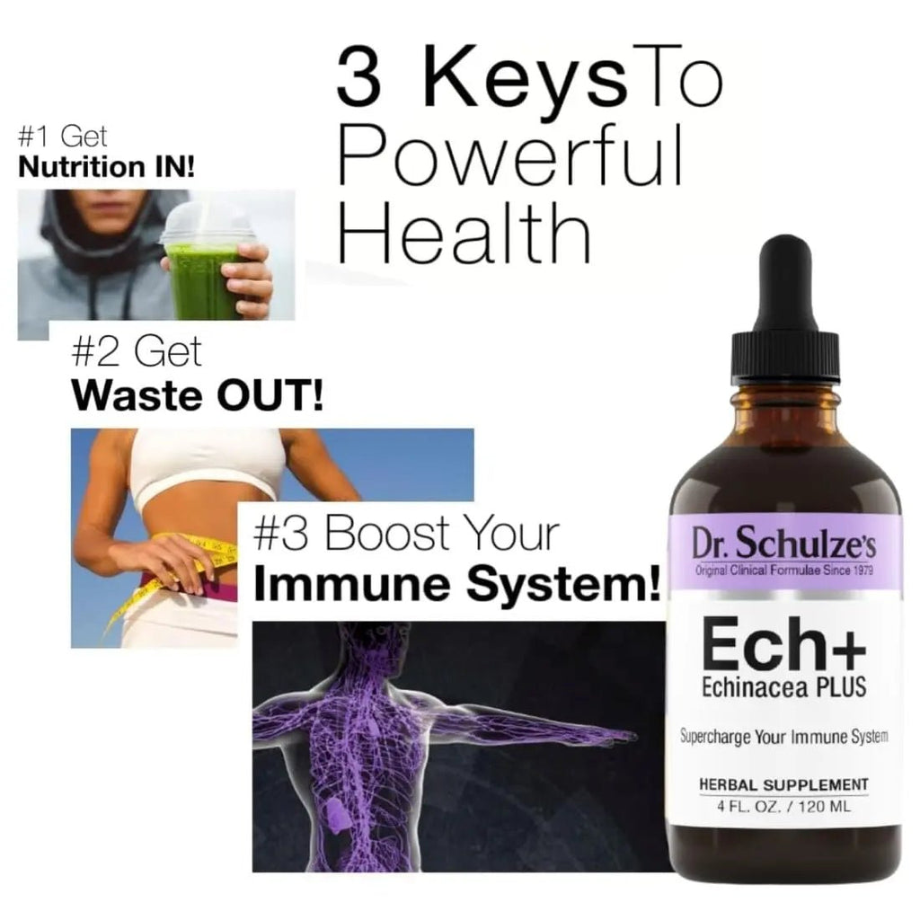 Dr. Schulze's Echinacea Plus | Echinacea Root and Seed | All Organic Extract | Gluten-Free - TrustMedUSA