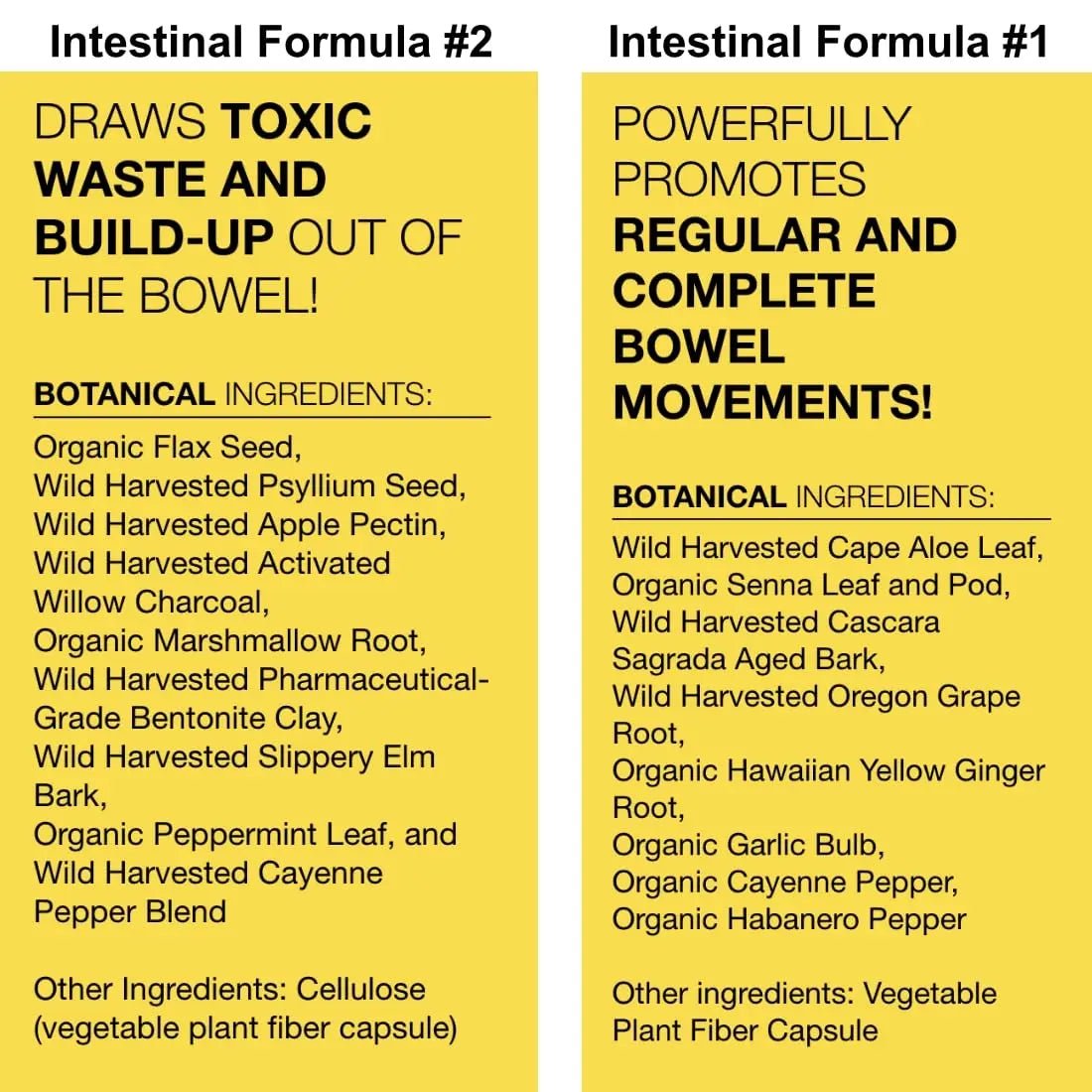 Dr. Schulze's Intestinal Formula 2 (8 Ounces) and Intestinal Formula 1 Capsules - TrustMedUSA