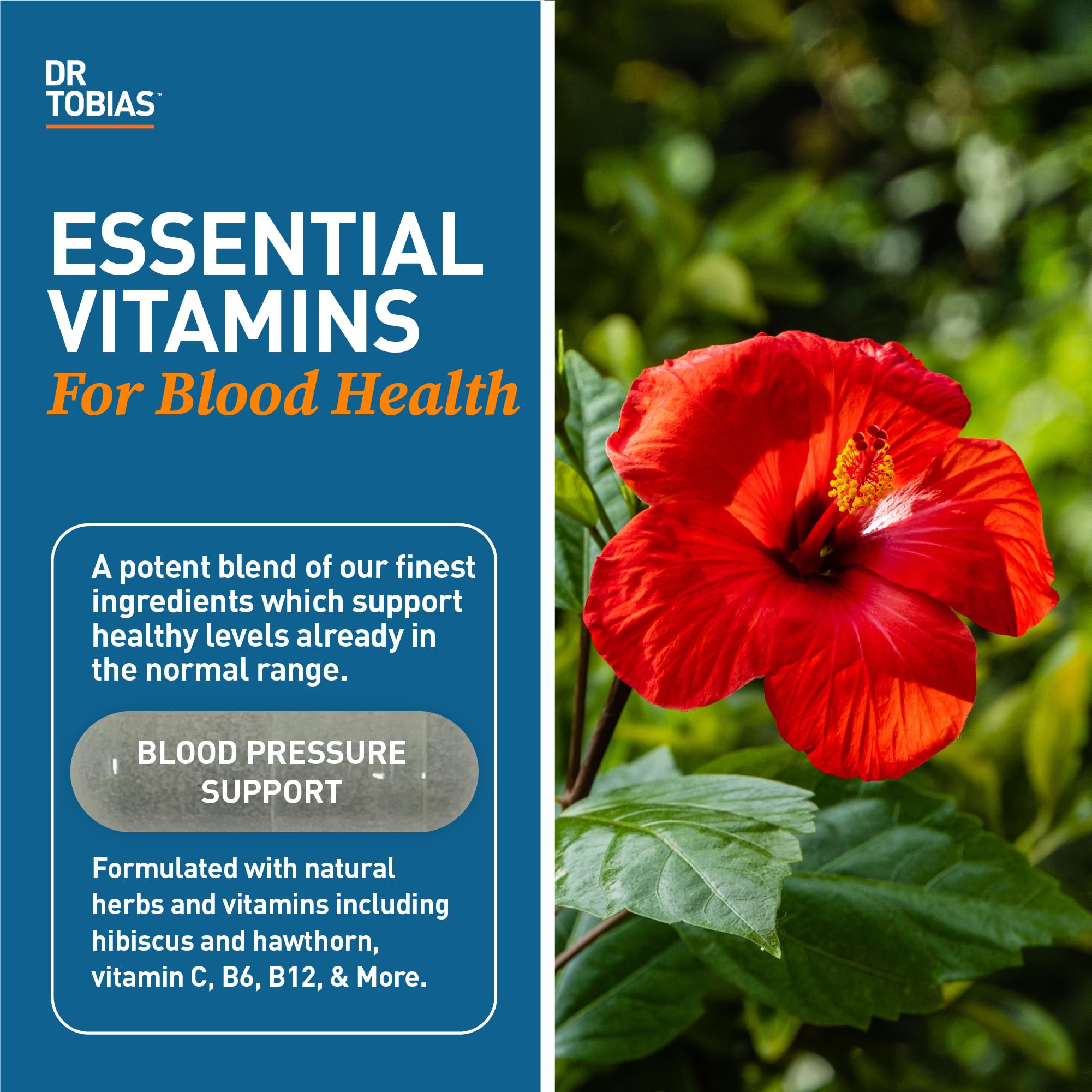Dr. Tobias Blood Pressure Support Supplement with Hawthorn, Hibiscus Flower, Olive Leaf & Garlic, Supports Normal Circulatory Health with Vitamins C, B6, B12, Niacin, Folate & Herbs, 90 Capsules - TrustMedUSA