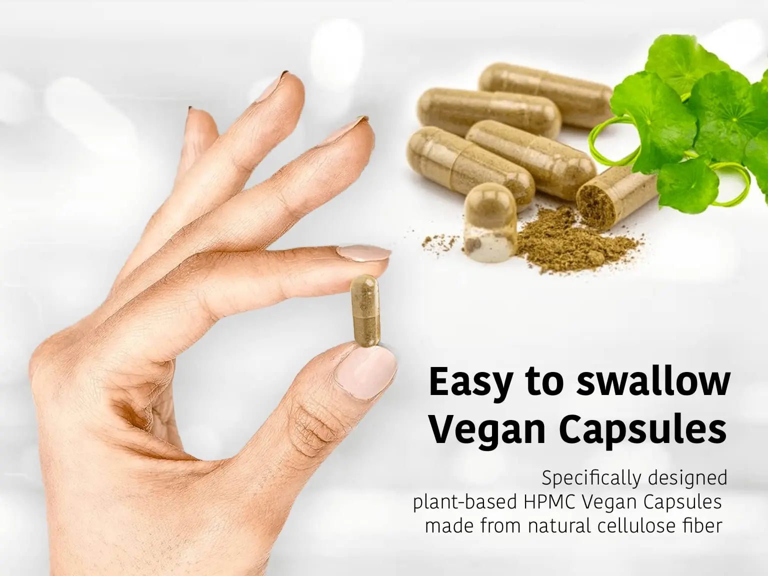 DR WAKDE'S Cardamom Capsules (60 Veg Caps, Plant-Based Supplement, Ayurvedic Herb, All Natural, Vegan) - TrustMedUSA