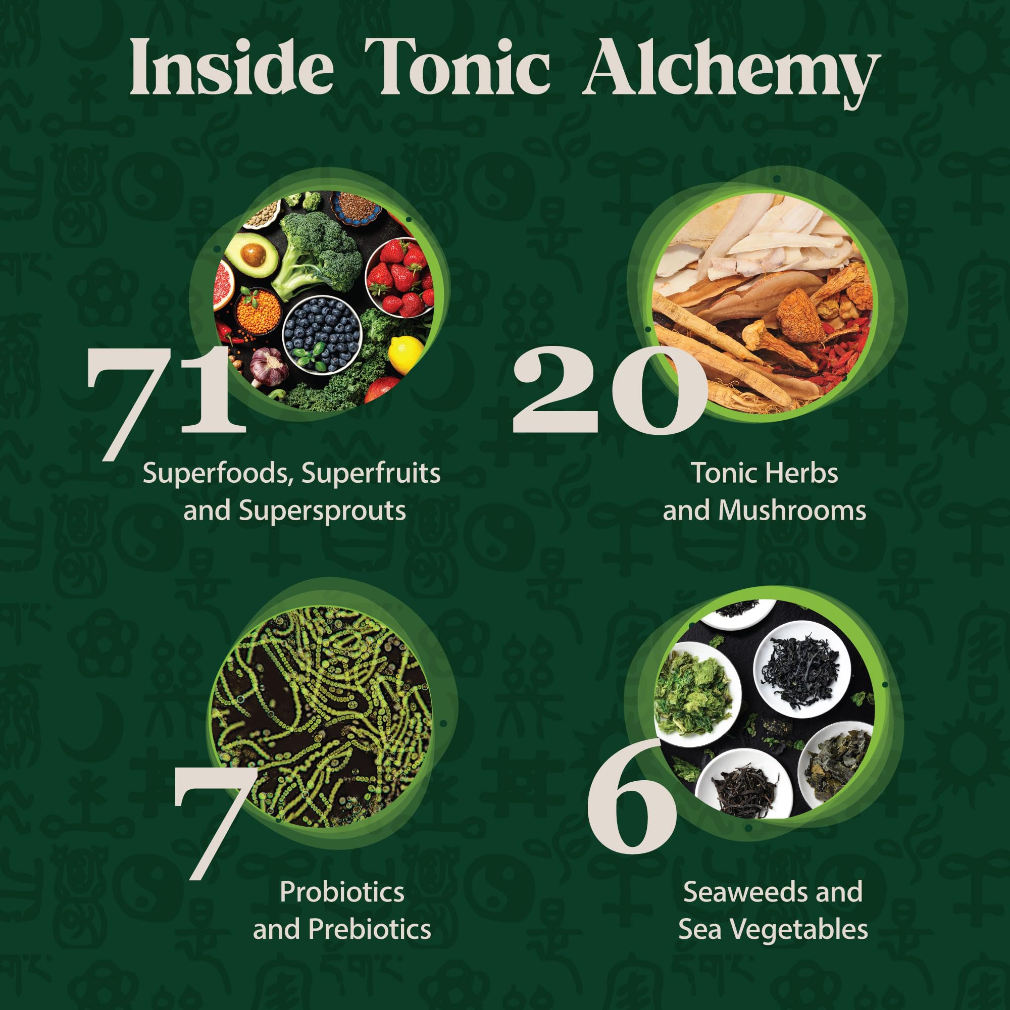 Dragon Herbs Tonic Alchemy Superfood Greens Powder with 91 Ingredients: Tonic Herbs, Ashwagandha, Mushrooms, Probiotics, Super Greens, Seaweeds, Fruits, Vegetables, Spirulina - 30 Servings - TrustMedUSA