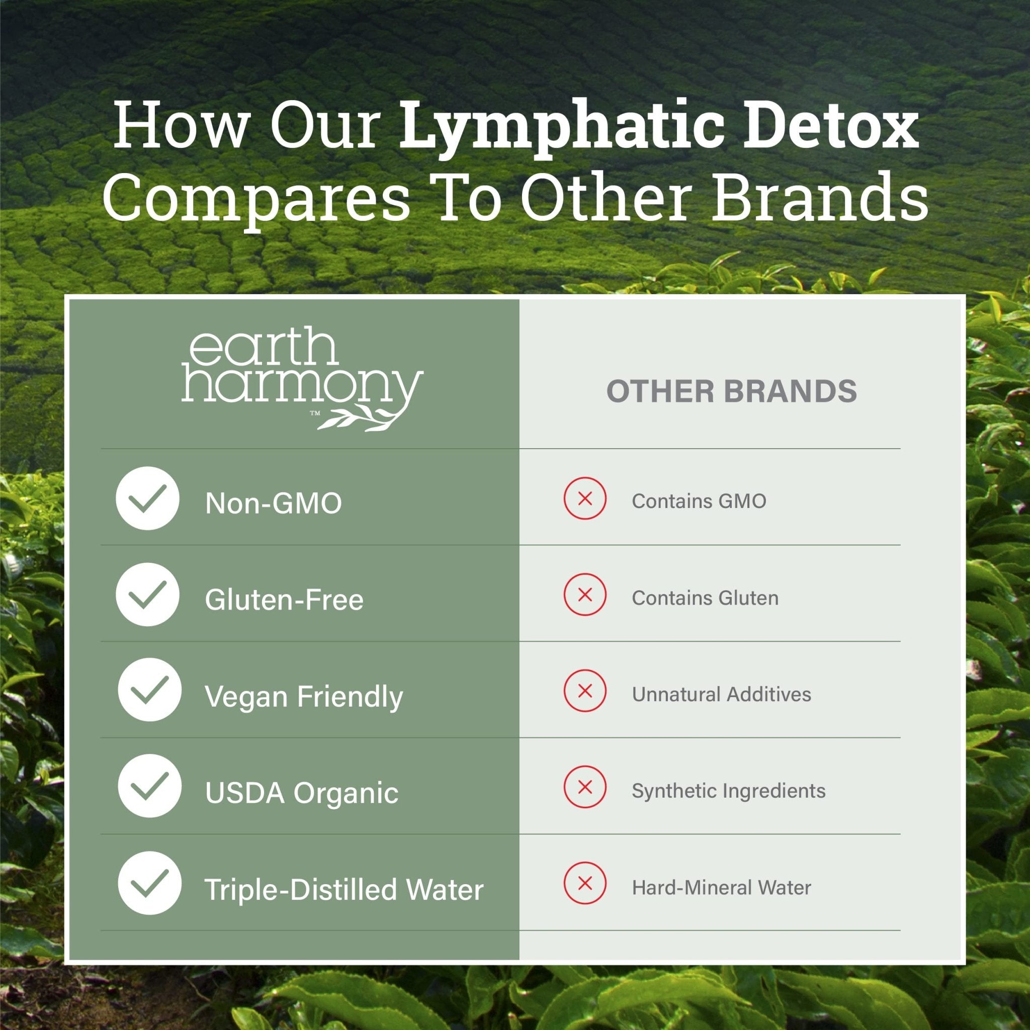 Earth Harmony Lymphatic Drainage Drops, Lymph Detox - Supplement with Soursop, Cat's Claw Bark, Astragalus, Wormwood, Lymph Node Detox, Lymphatic Support Cleanse (2 Oz) - Maple Wellness Supplements