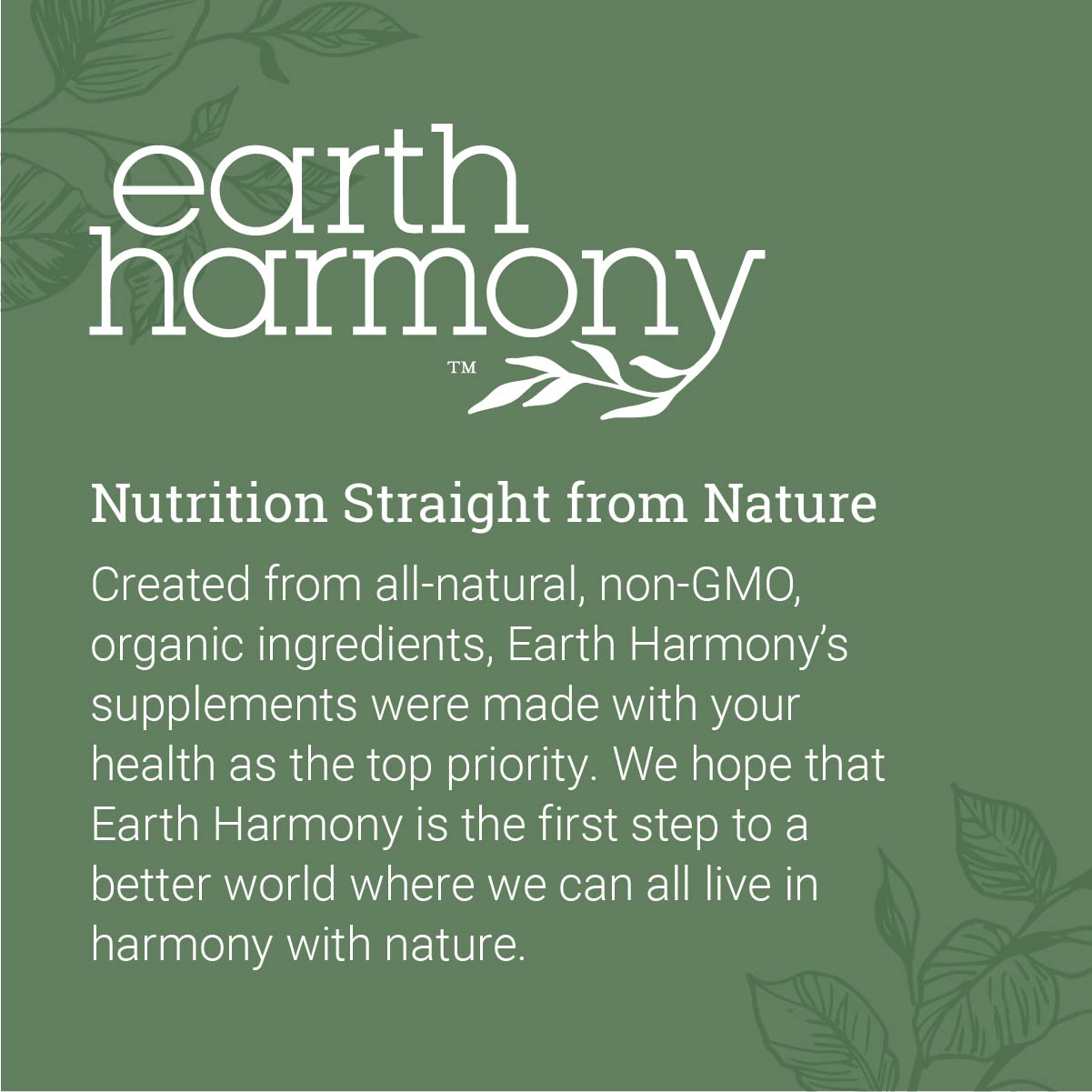 Earth Harmony Lymphatic Drainage Drops, Lymph Detox - Supplement with Soursop, Cat's Claw Bark, Astragalus, Wormwood, Lymph Node Detox, Lymphatic Support Cleanse (2 Oz) - Maple Wellness Supplements
