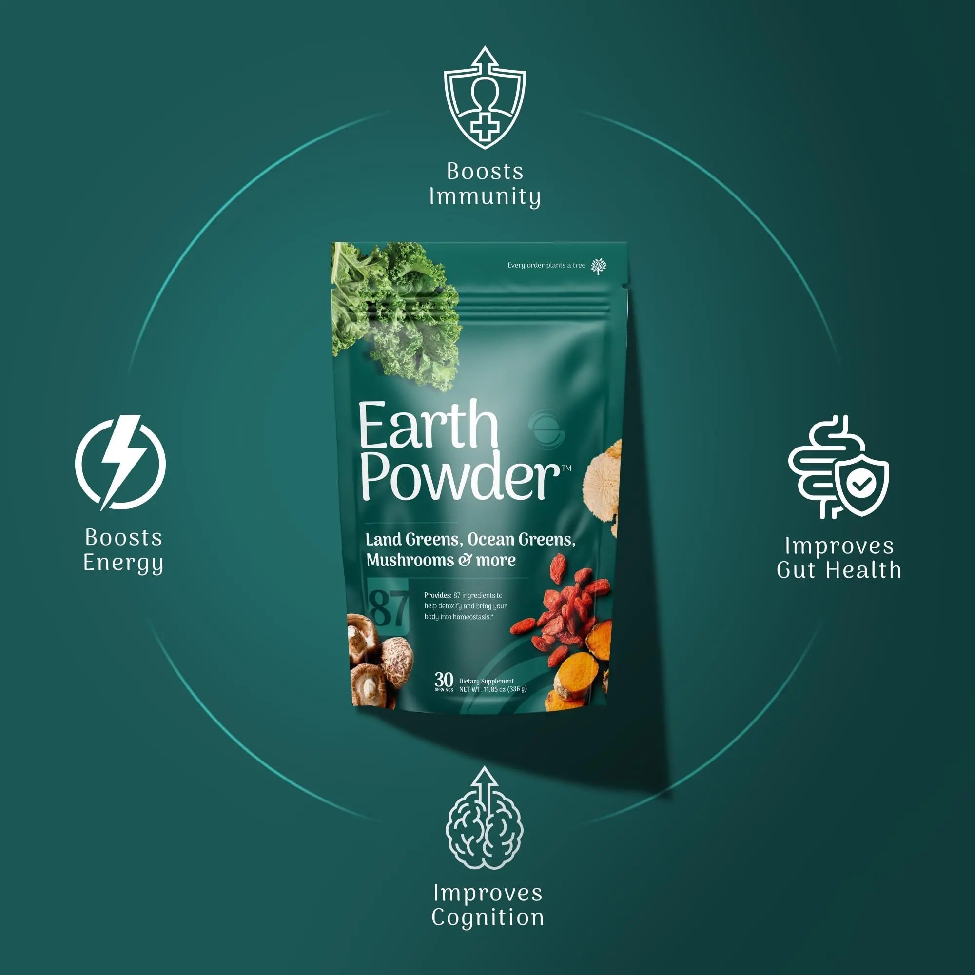 Earth Powder Daily Foundational Nutrition Supplement with 28 Greens & 10 Mushrooms | 87 Nutrients for Energy, Gut Health & Mental Clarity - TrustMedUSA