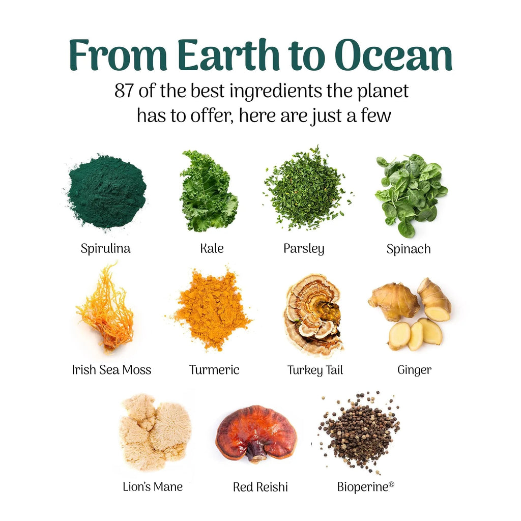 Earth Powder Daily Foundational Nutrition Supplement with 28 Greens & 10 Mushrooms | 87 Nutrients for Energy, Gut Health & Mental Clarity - TrustMedUSA