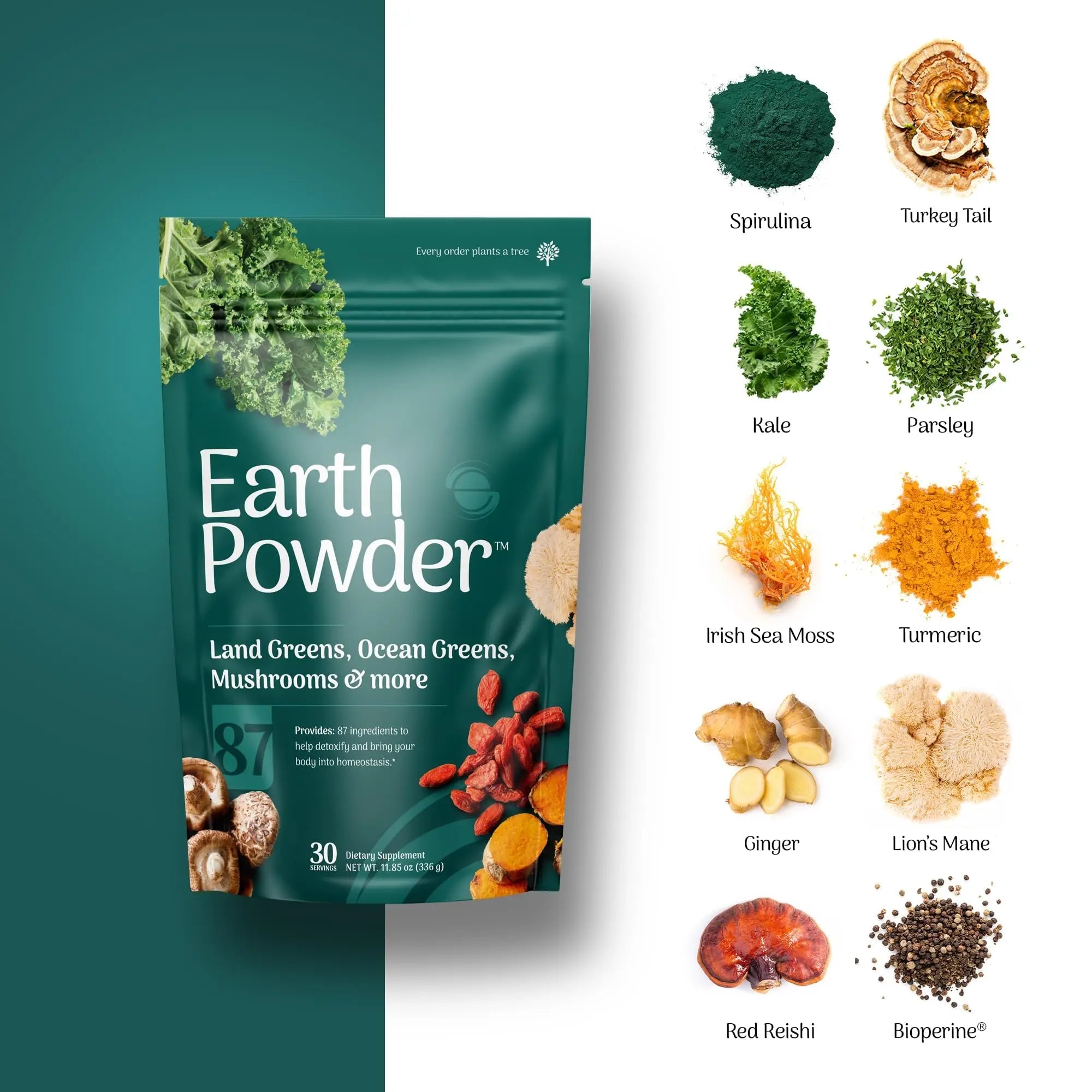 Earth Powder Daily Foundational Nutrition Supplement with 28 Greens & 10 Mushrooms | 87 Nutrients for Energy, Gut Health & Mental Clarity - TrustMedUSA