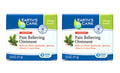 Earth's Care Triple Action Pain Relieving Ointment, No Parabens, Colors or Fragrances, Allergy-Tested 2.5 OZ. (2 Jars) - TrustMedUSA