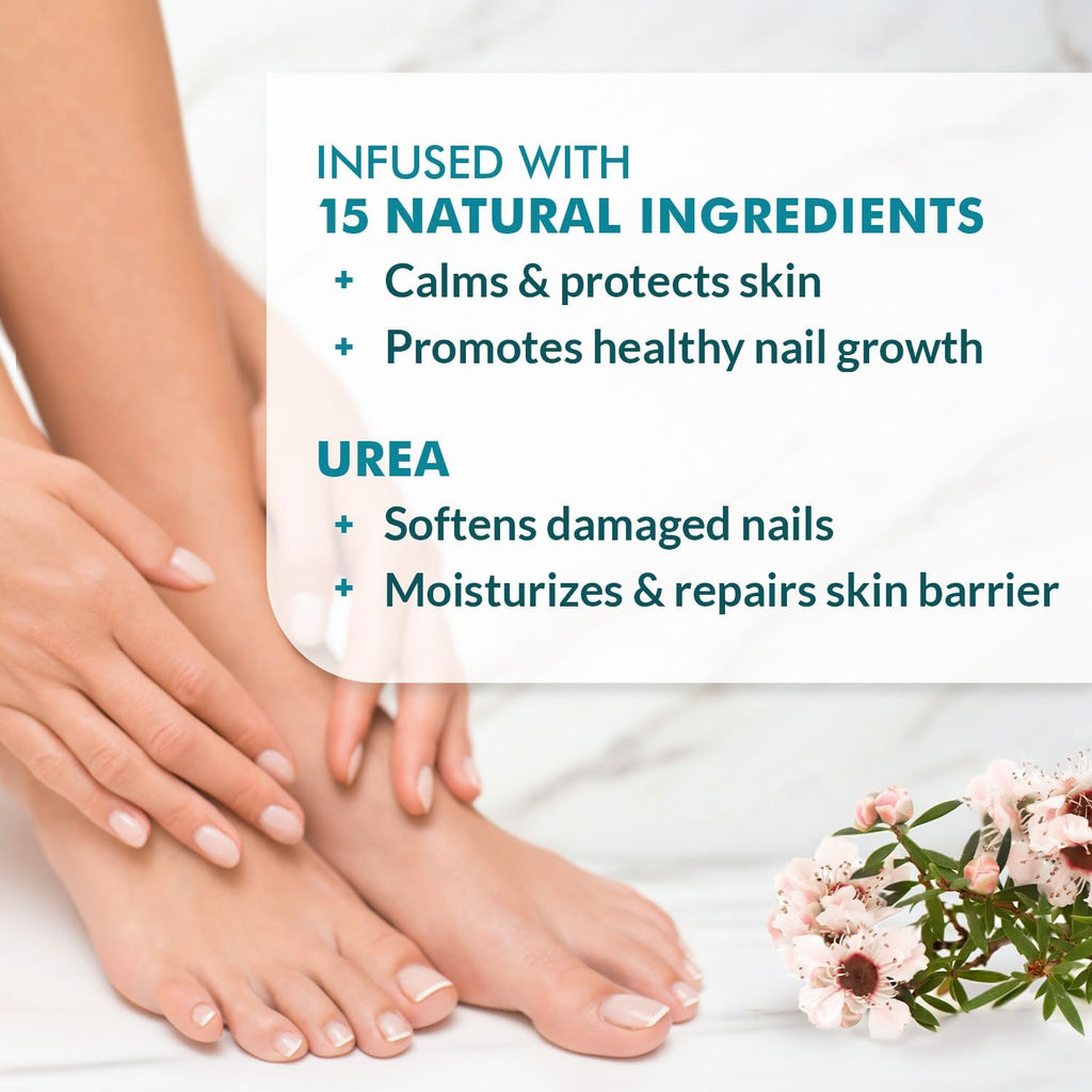 Ebanel Antifungal Cream Miconazole Athletes Foot Treatment, Cures Fungal Infection Leading to Nail Fungus, Jock Itch Cream with Undecylenic Acid, Tea Tree & Manuka Oil, Fast Itch Relief for Ringworm - Maple Wellness Supplements