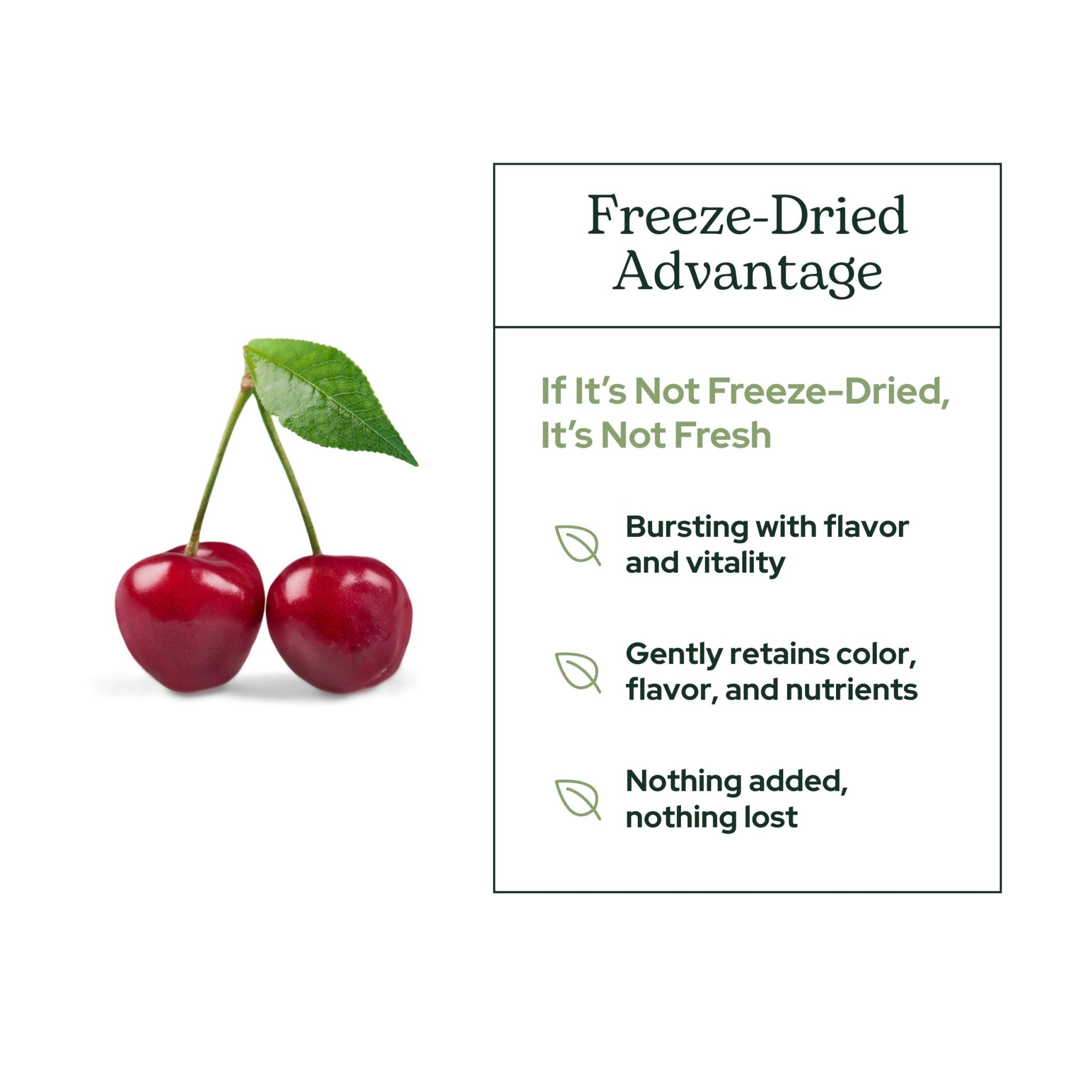 Eclectic Herb - Berry Tart Cherry Powder | Joint Support Supplement | Superfood Vitamin & Mineral Supplement | Freeze Dried, Vegan, Non-GMO, Gluten-Free (5.1 oz | 144 g) - TrustMedUSA
