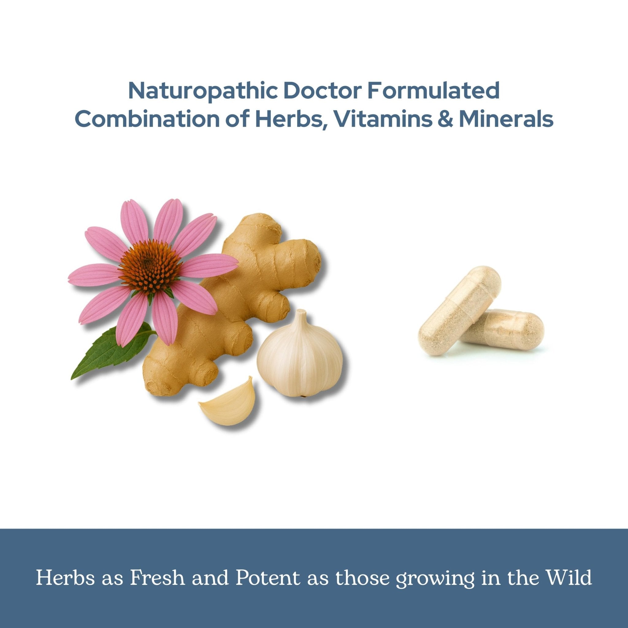 Eclectic Herb - Vitabiotic Capsules | Immune Support | Natural Herbal Multivitamin Supplement | Freeze Dried, Organic, Non-GMO, Vegan, Whole Herb (150 CT | 750 mg) - TrustMedUSA
