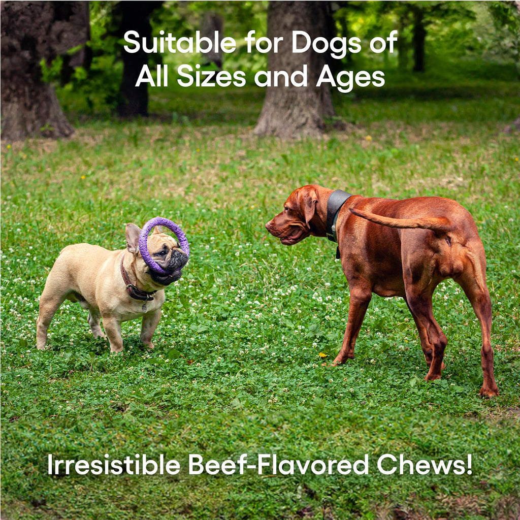 ecoNugenics PectaPaws Chewable Dog Supplements – Beef Flavor, 90 Count – PectaSol Modified Citrus Pectin + Glucosamine HCI for Dogs of All Ages, Supports Mobility, Joints, Immune Function, Pain Relief - TrustMedUSA