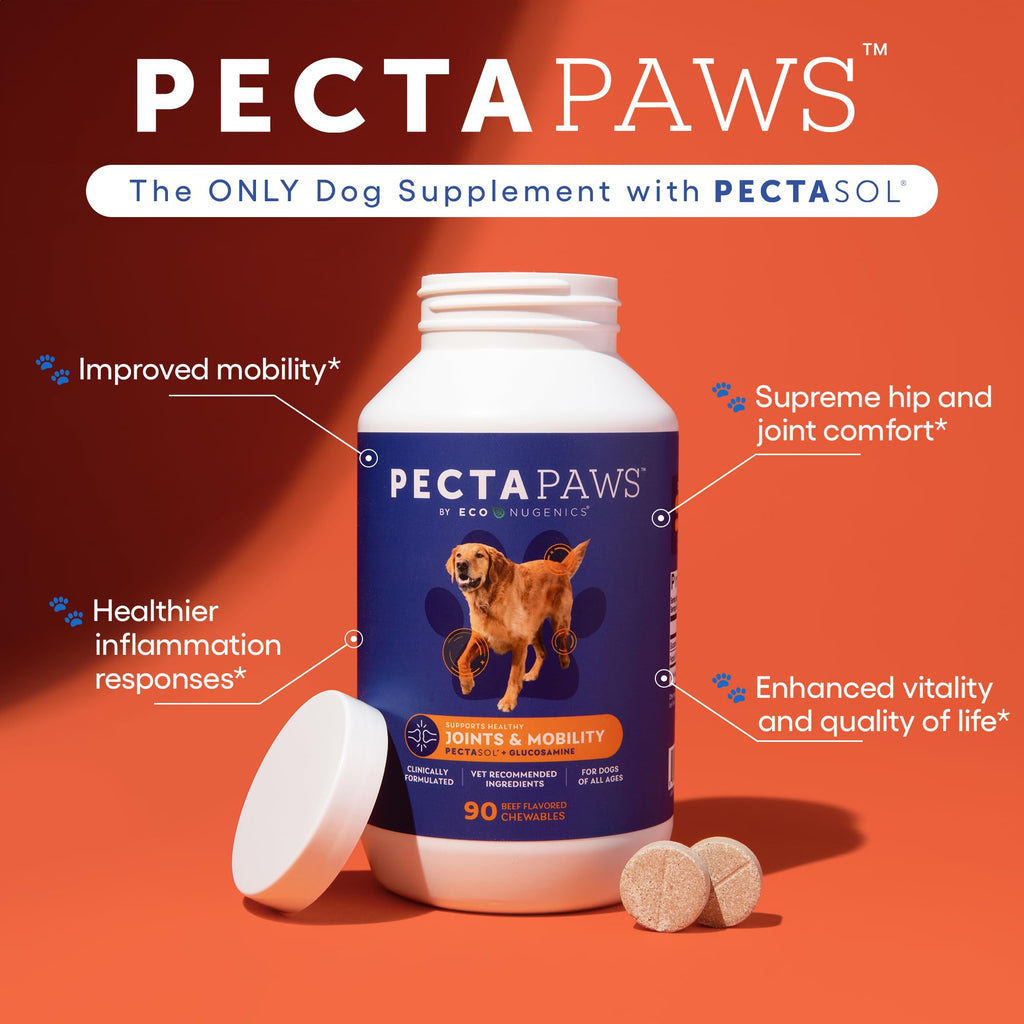 ecoNugenics PectaPaws Chewable Dog Supplements – Beef Flavor, 90 Count – PectaSol Modified Citrus Pectin + Glucosamine HCI for Dogs of All Ages, Supports Mobility, Joints, Immune Function, Pain Relief - TrustMedUSA