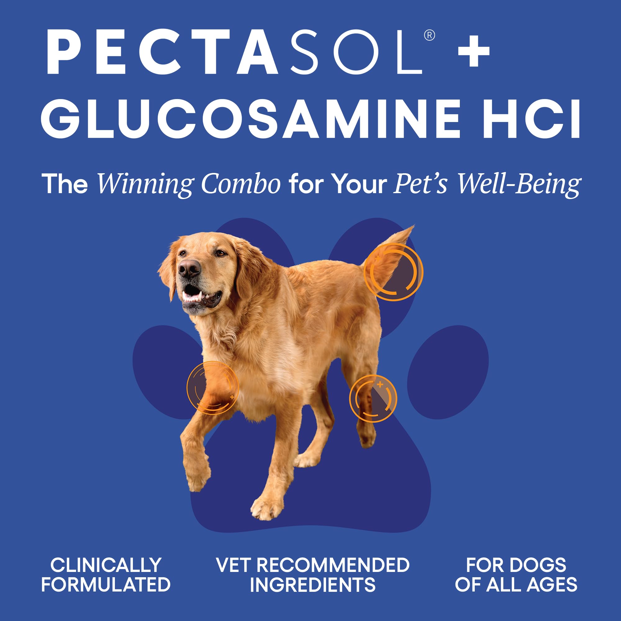 ecoNugenics PectaPaws Chewable Dog Supplements – Beef Flavor, 90 Count – PectaSol Modified Citrus Pectin + Glucosamine HCI for Dogs of All Ages, Supports Mobility, Joints, Immune Function, Pain Relief - TrustMedUSA