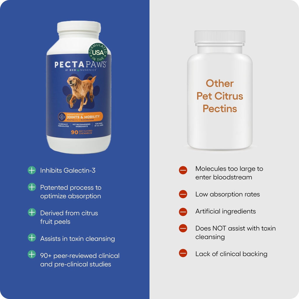 ecoNugenics PectaPaws Chewable Dog Supplements – Beef Flavor, 90 Count – PectaSol Modified Citrus Pectin + Glucosamine HCI for Dogs of All Ages, Supports Mobility, Joints, Immune Function, Pain Relief - TrustMedUSA