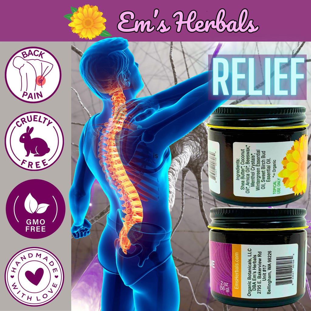 Em's Herbals, Muscle & Joint Care Arnica Salve - Amplified Arnica Salve Made with Menthol Crystals, and Effective Essential Oils to Penetrate Deep into Muscles, Joints, and Back Discomfort (2 oz) - TrustMedUSA