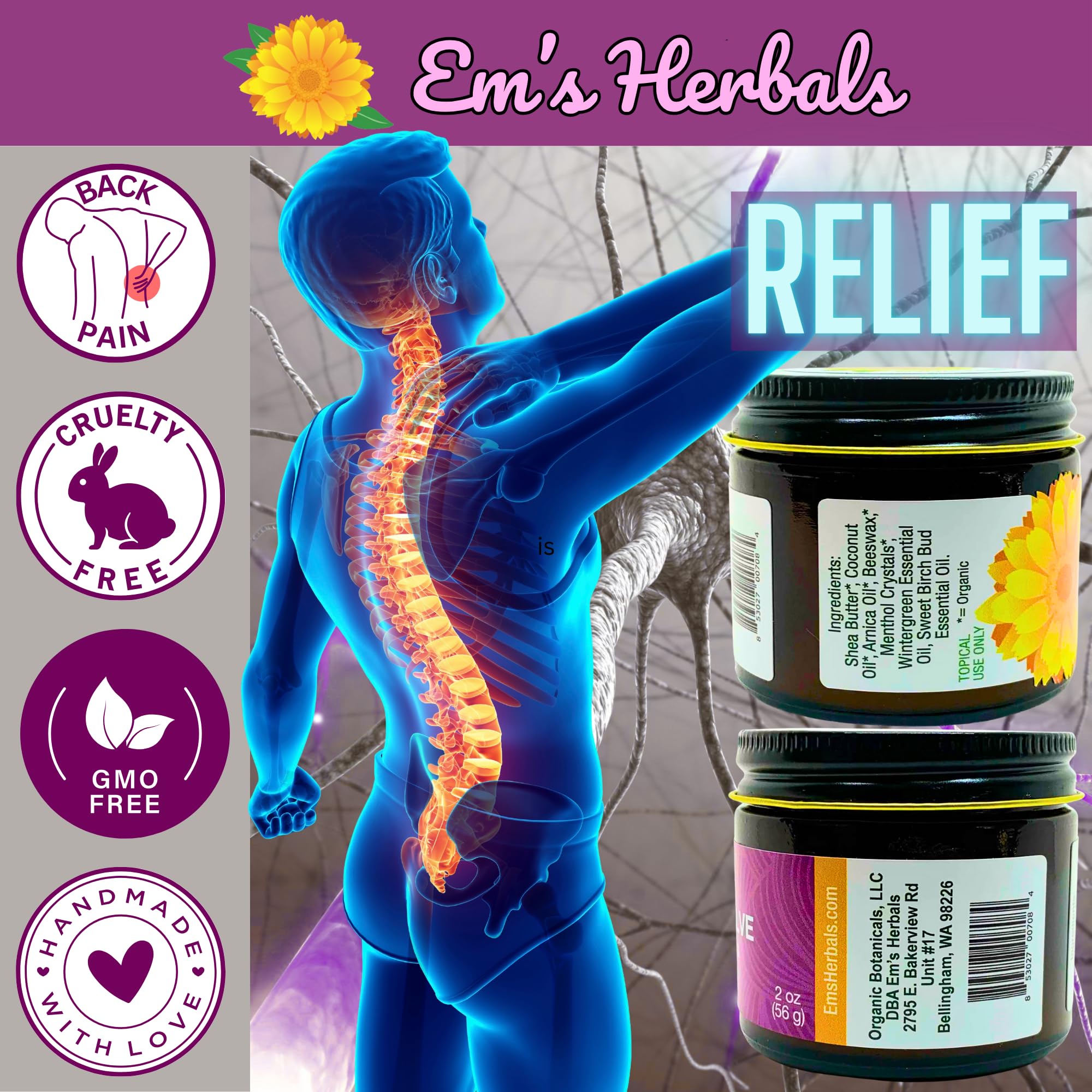 Em's Herbals, Muscle & Joint Care Arnica Salve - Amplified Arnica Salve Made with Menthol Crystals, and Effective Essential Oils to Penetrate Deep into Muscles, Joints, and Back Discomfort (2 oz) - TrustMedUSA