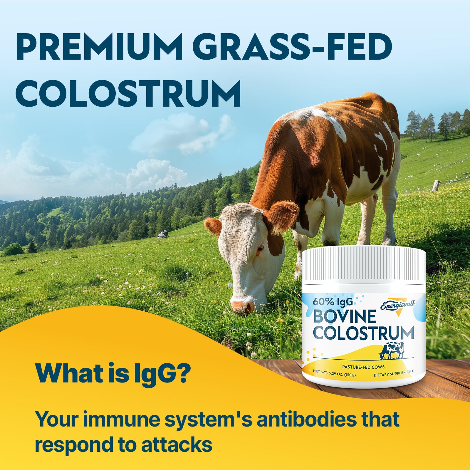Energievoll Bovine Colostrum Supplement Powder - 60% IgG 3000 mg for Gut, Hair Growth, Beauty, and Immune, Easy to Mix, Unflavored (50 Servings) - TrustMedUSA