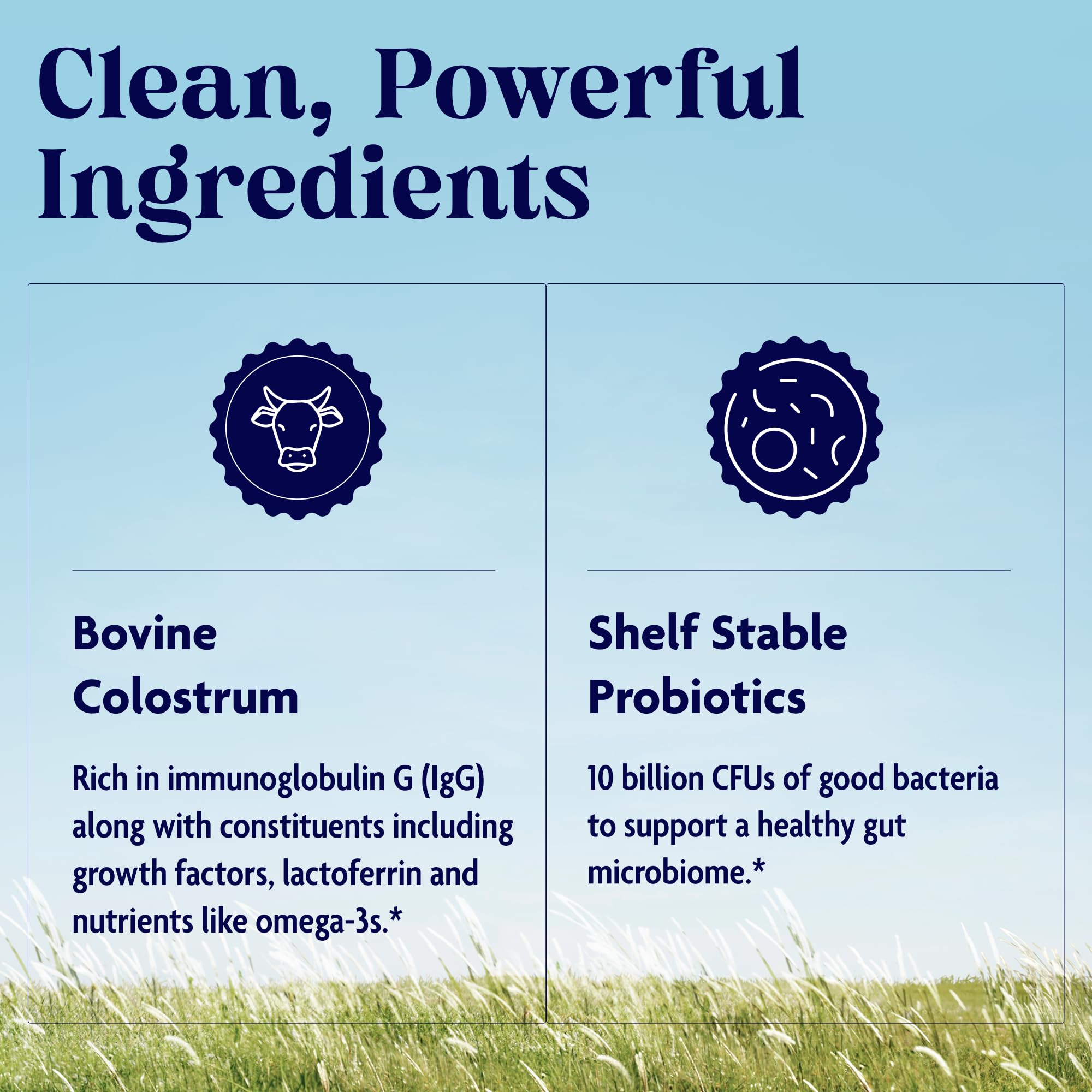 Enzymedica Colostrum + Probiotics Powder Supplement - Grass Fed Bovine Colostrum for Women & Men, Peptide & Lactoferrin Support, Promotes Hair, Skin, Nails, Immune & Gut Health, Gluten Free - 3.25 oz - TrustMedUSA