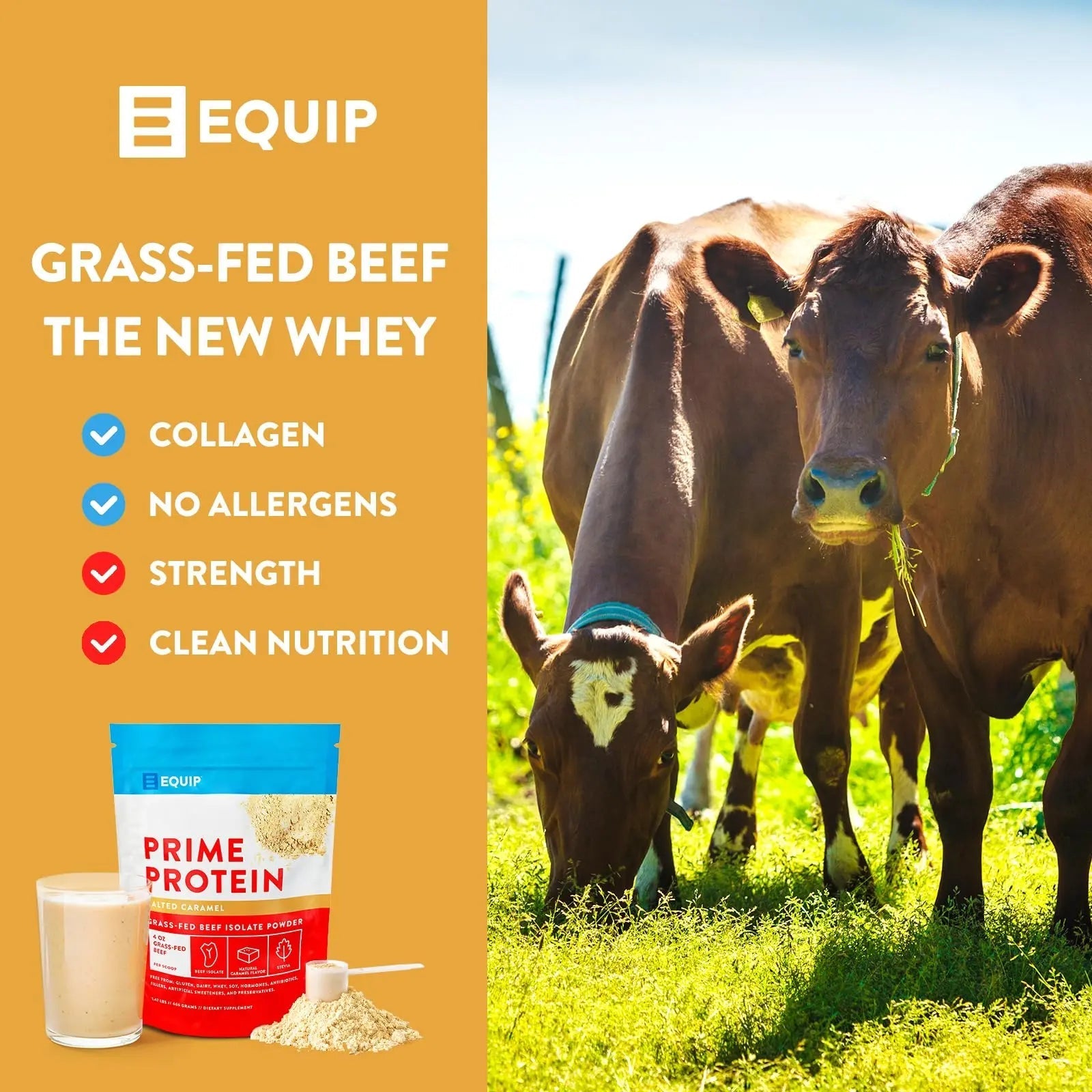 Equip Foods Prime Protein - Grass Fed Beef Protein Powder Isolate - Paleo and Keto - TrustMedUSA