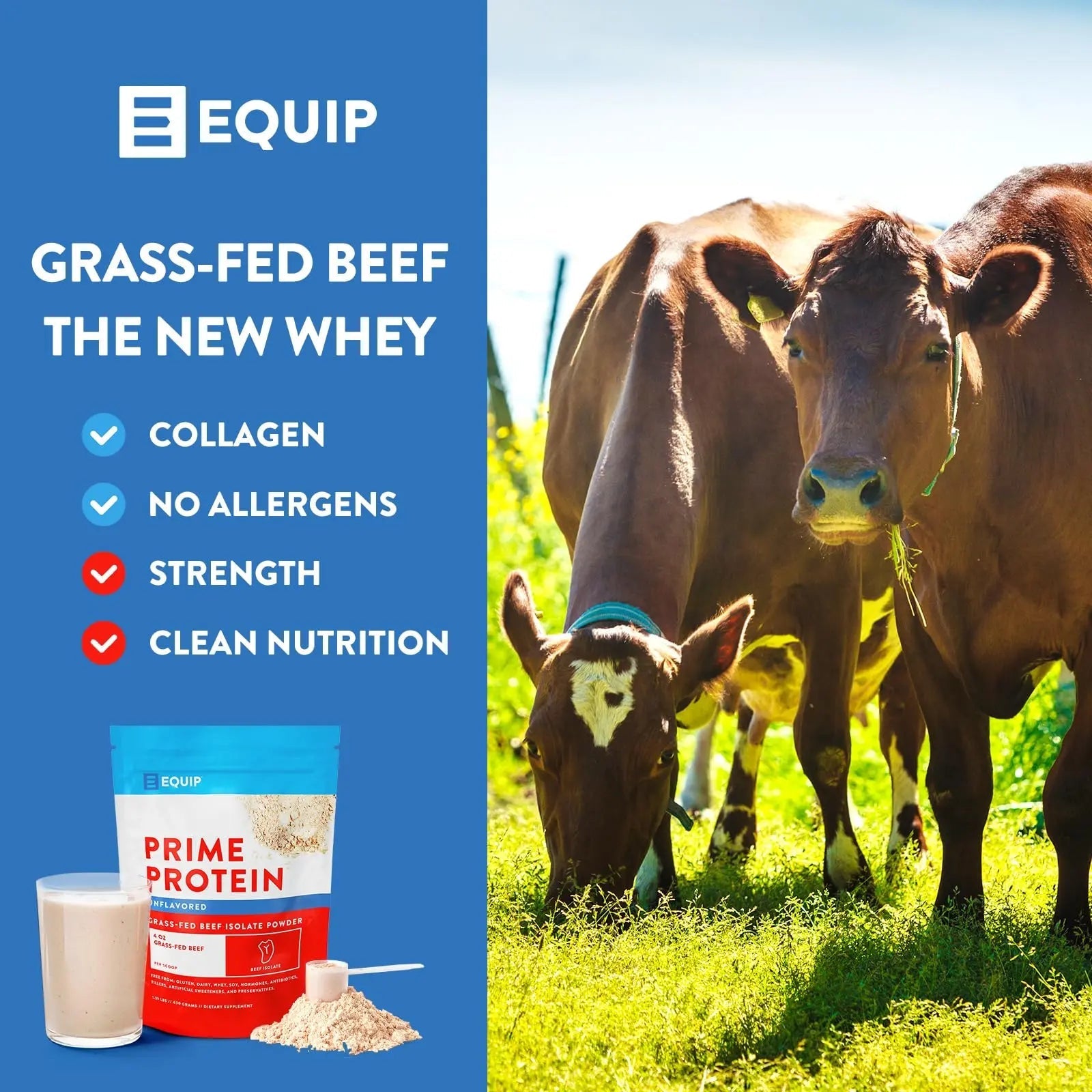 Equip Foods Prime Protein - Grass Fed Beef Protein Powder Isolate - Paleo and Keto Friendl - TrustMedUSA