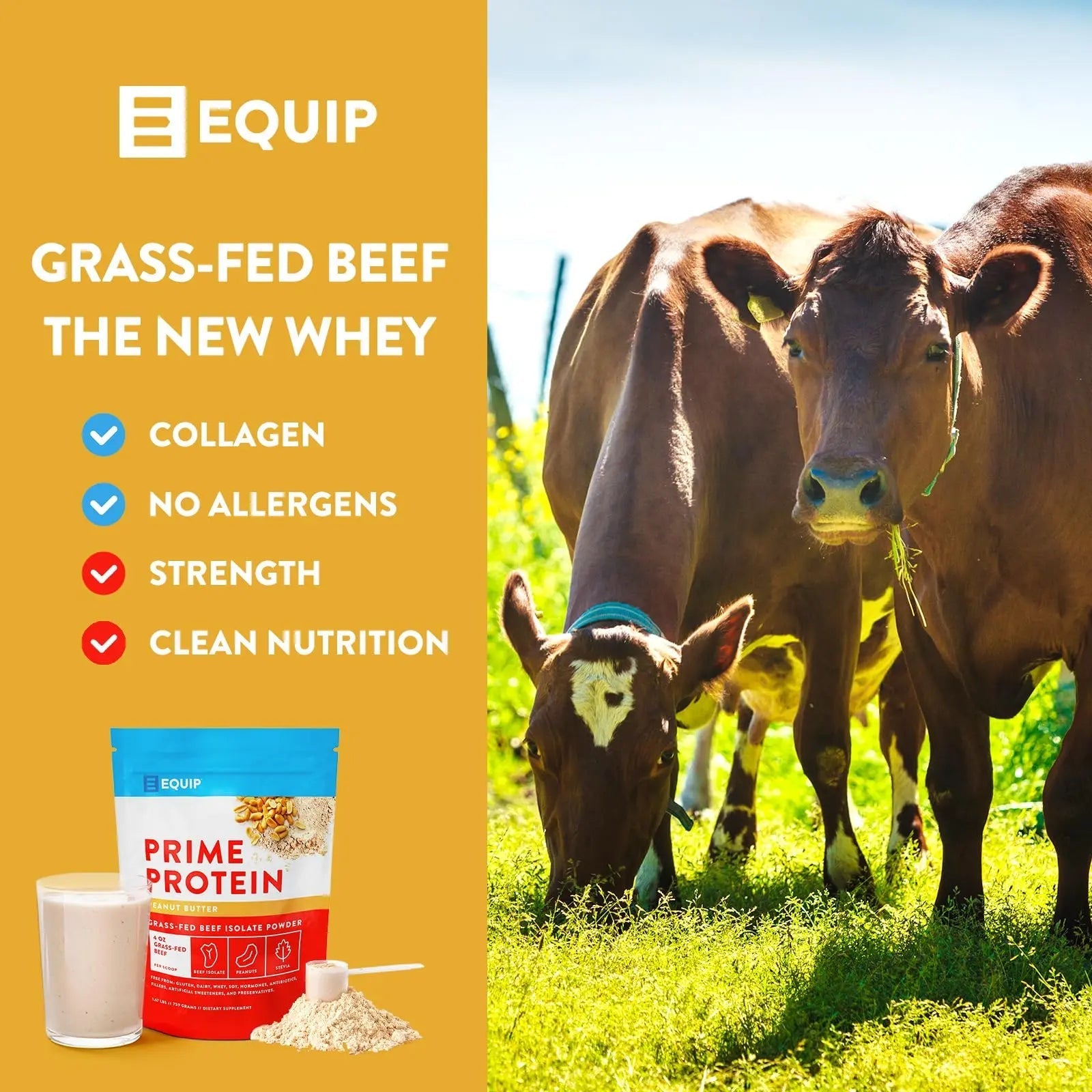 Equip Foods Prime Protein - Grass Fed Beef Protein Powder Isolate - Paleo and Keto Friendly - TrustMedUSA