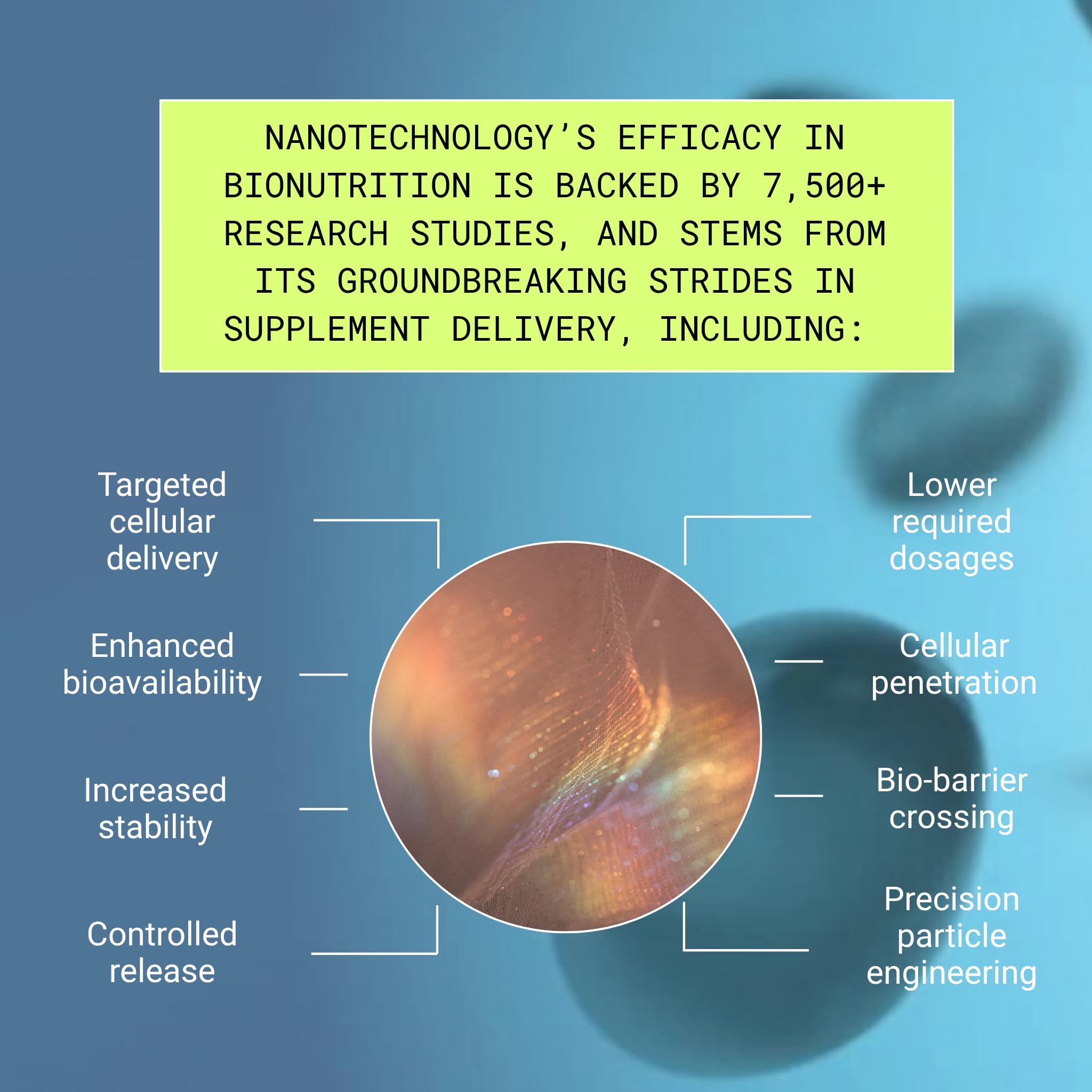 Essential Brain Health Supplements Nootropic for Memory and Focus – for Adults with NanoCap® Technology, Phosphatidylserine, Bacopa, Ginkgo Biloba, Omega 3, B6, B12, 60 Softgels by Greedy® Nutrition - TrustMedUSA