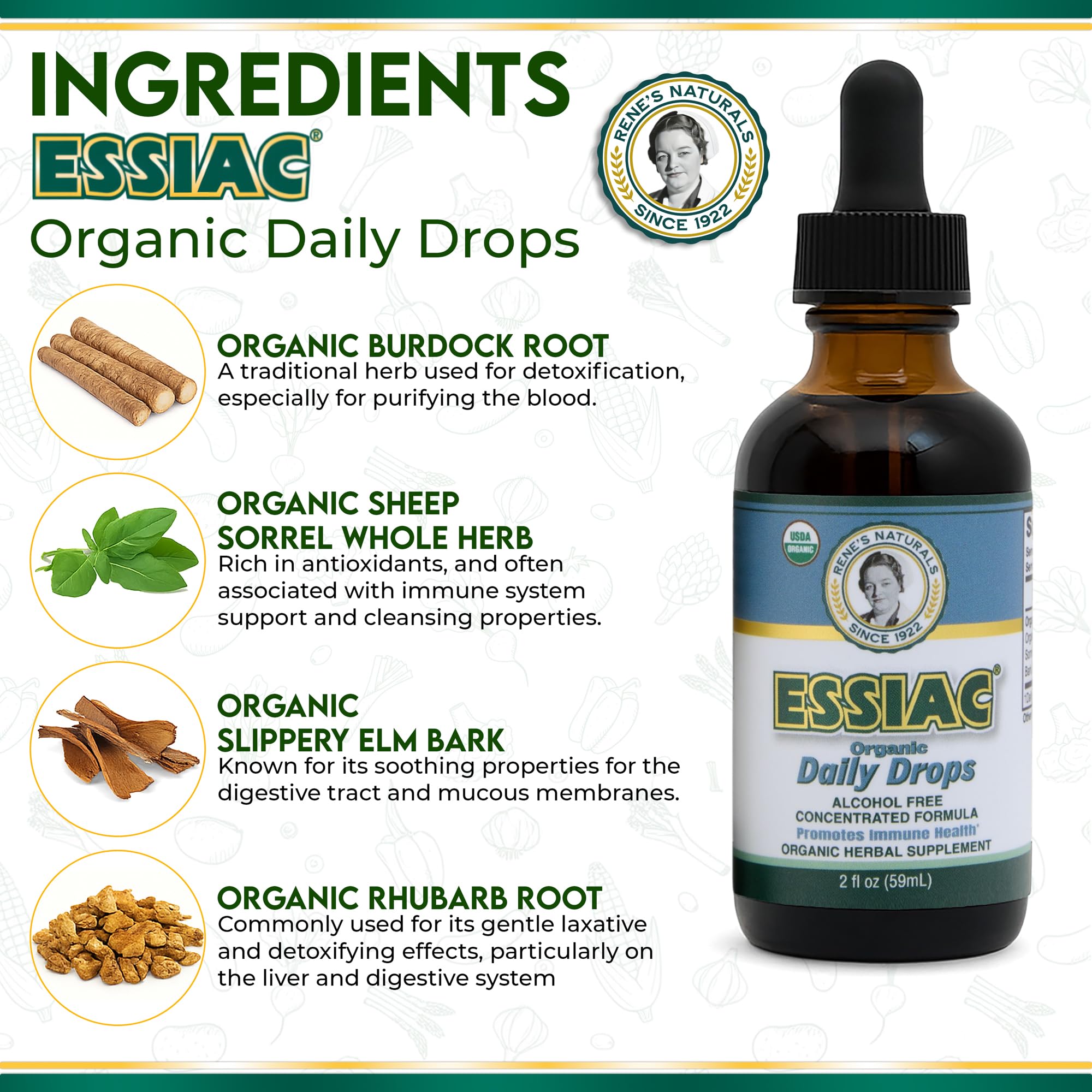 Essiac Original Tea USDA Organic Daily Drops for Enhanced Lymphatic Drainage and Immune Support | Alcohol Free Concentrated Formula | 2oz (59ml) - TrustMedUSA