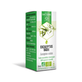 Eucalyptus Radiata Organic Essential Oil - DAYANG - TrustMedUSA