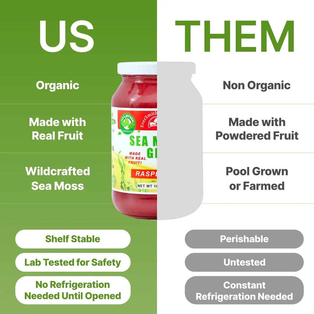 EverSmith Organics - Wildcrafted Irish Sea Moss Gel | Made in USA | Rich in Vitamins - TrustMedUSA