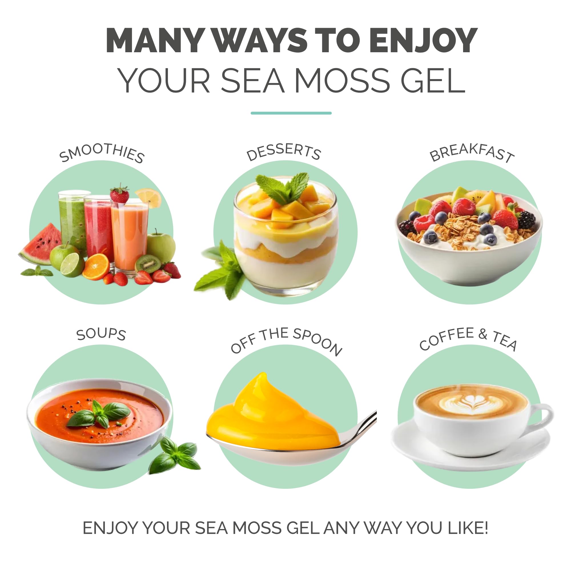EverSmith Organics - Wildcrafted Irish Sea Moss Gel | Made in USA | Rich in Vitamins & Minerals | Sea Moss Gel Raw - TrustMedUSA