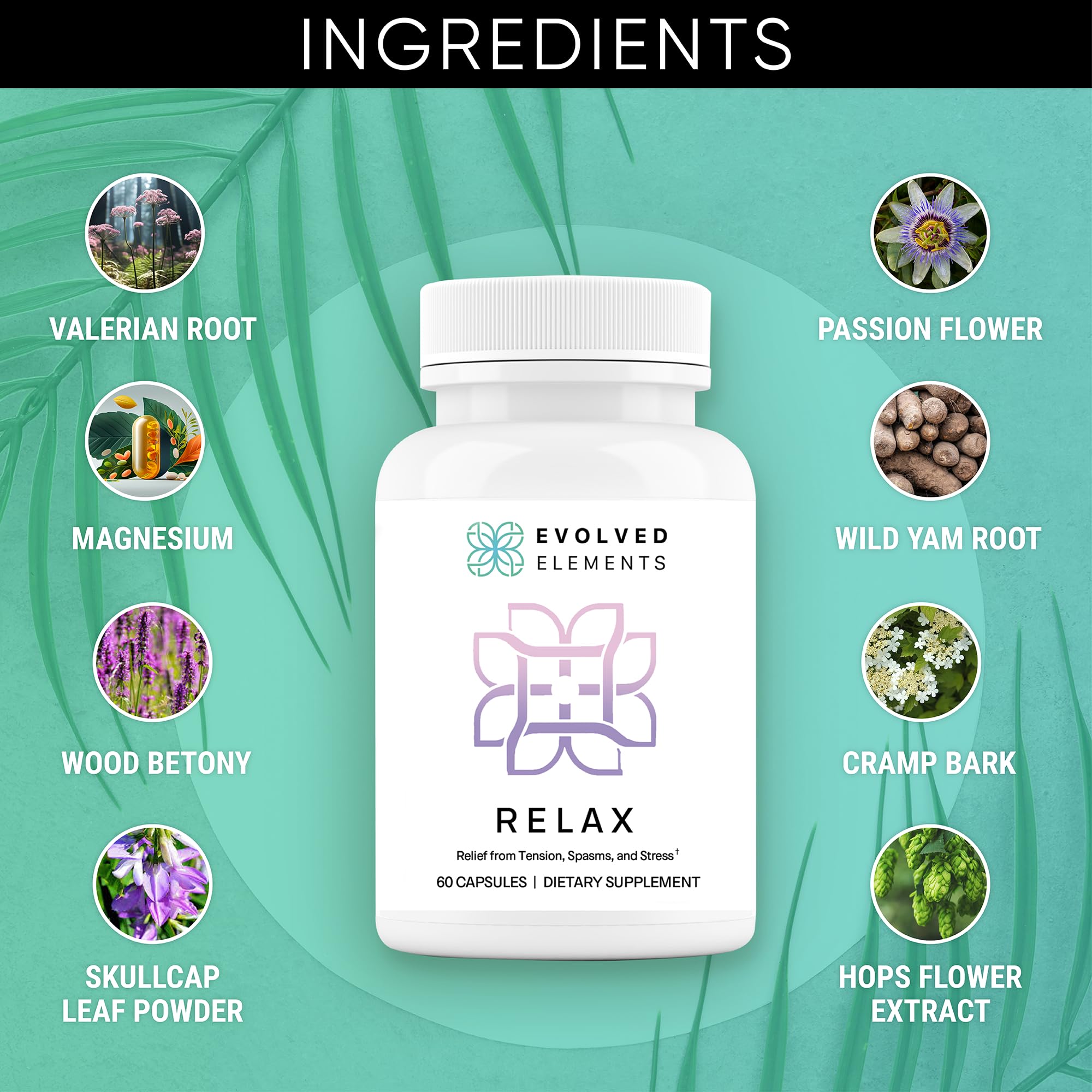 Evolved Elements All-Natural Muscle Relaxer | 60 Capsules | Spasm Relief with Magnesium, Passion Flower, and Valerian Root | Relieves Muscle Spasms, Tension, and Promotes Calmness - TrustMedUSA